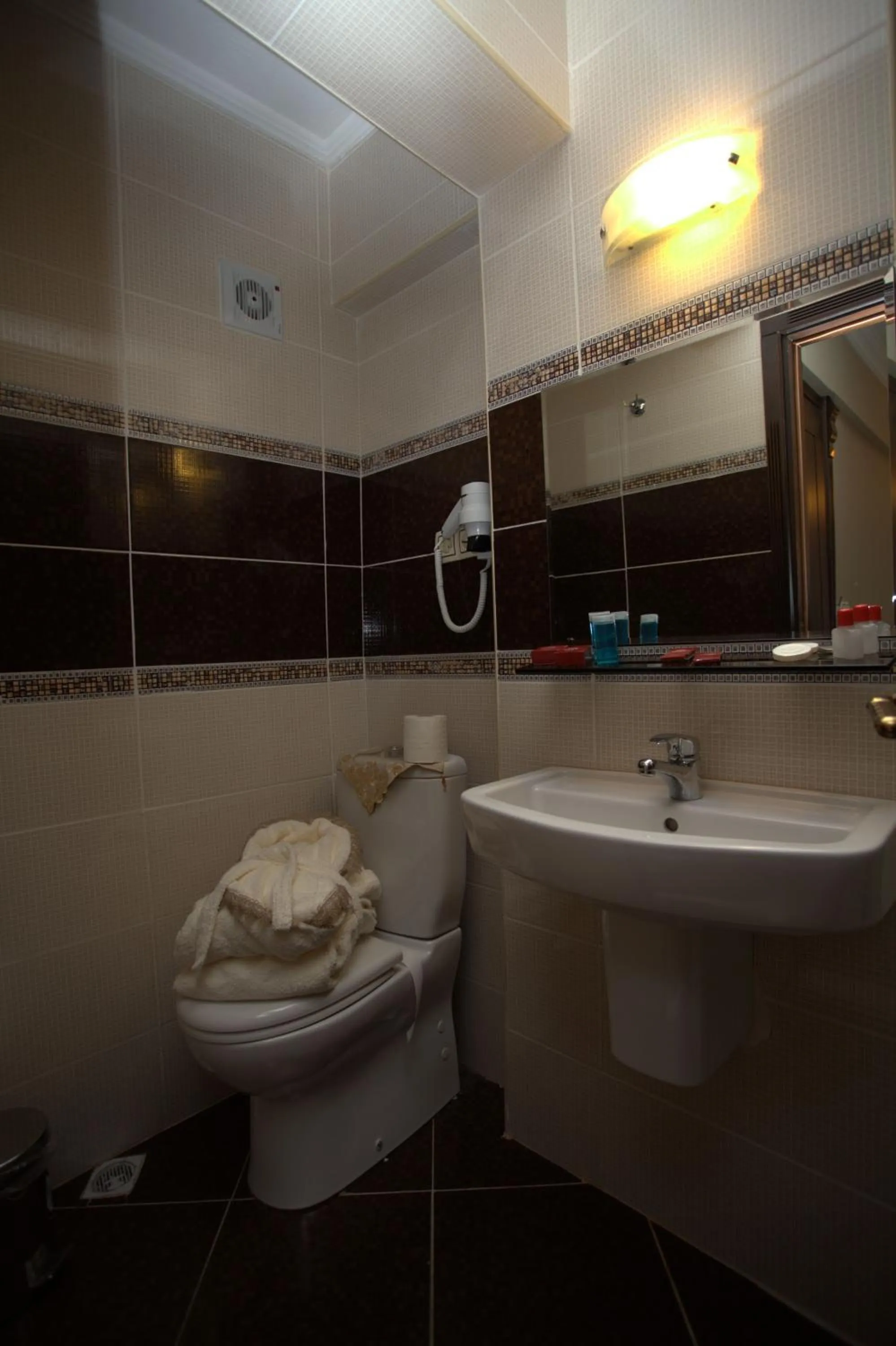 Bathroom in Sultanahmet Park Hotel