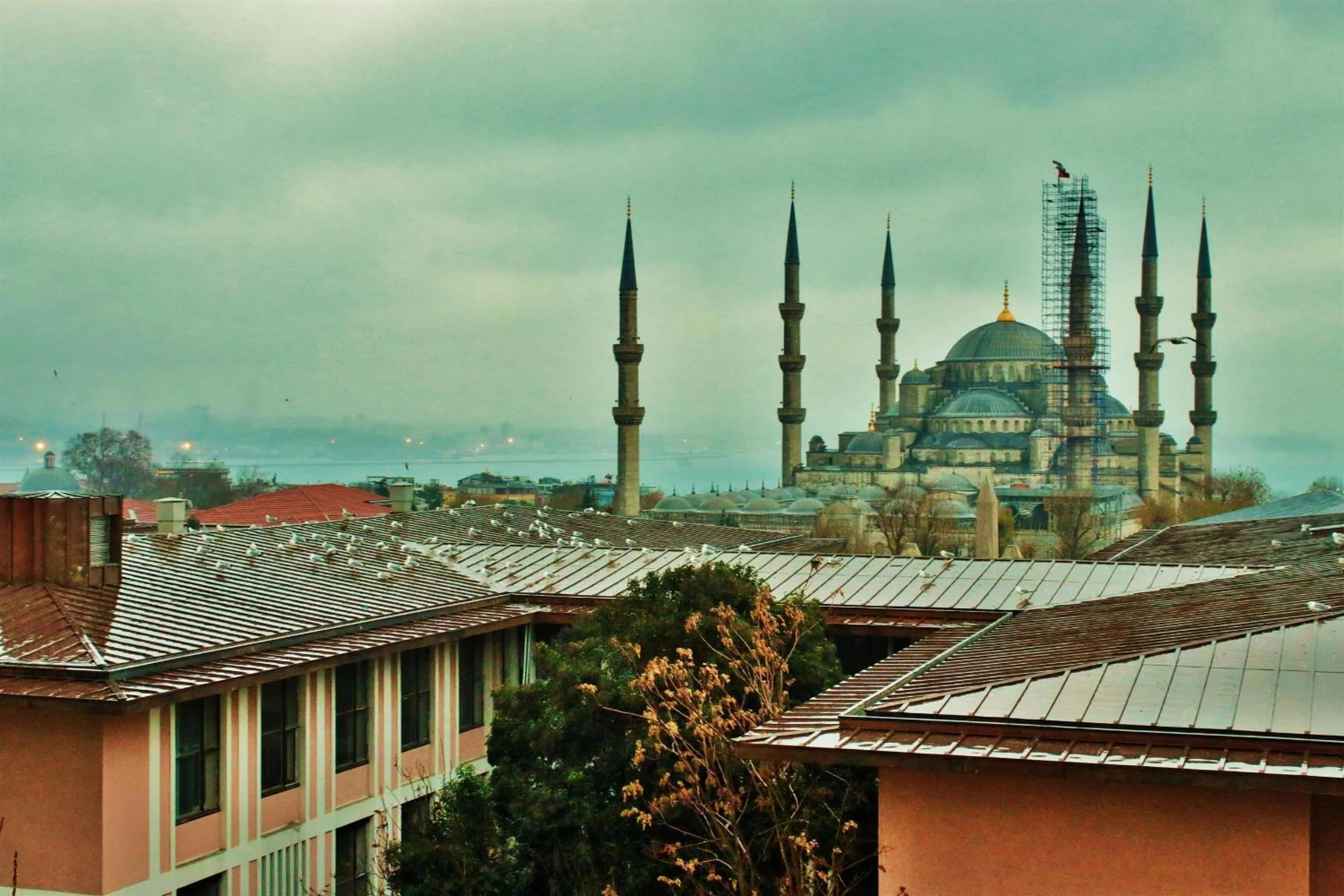 View (from property/room) in Sultanahmet Park Hotel