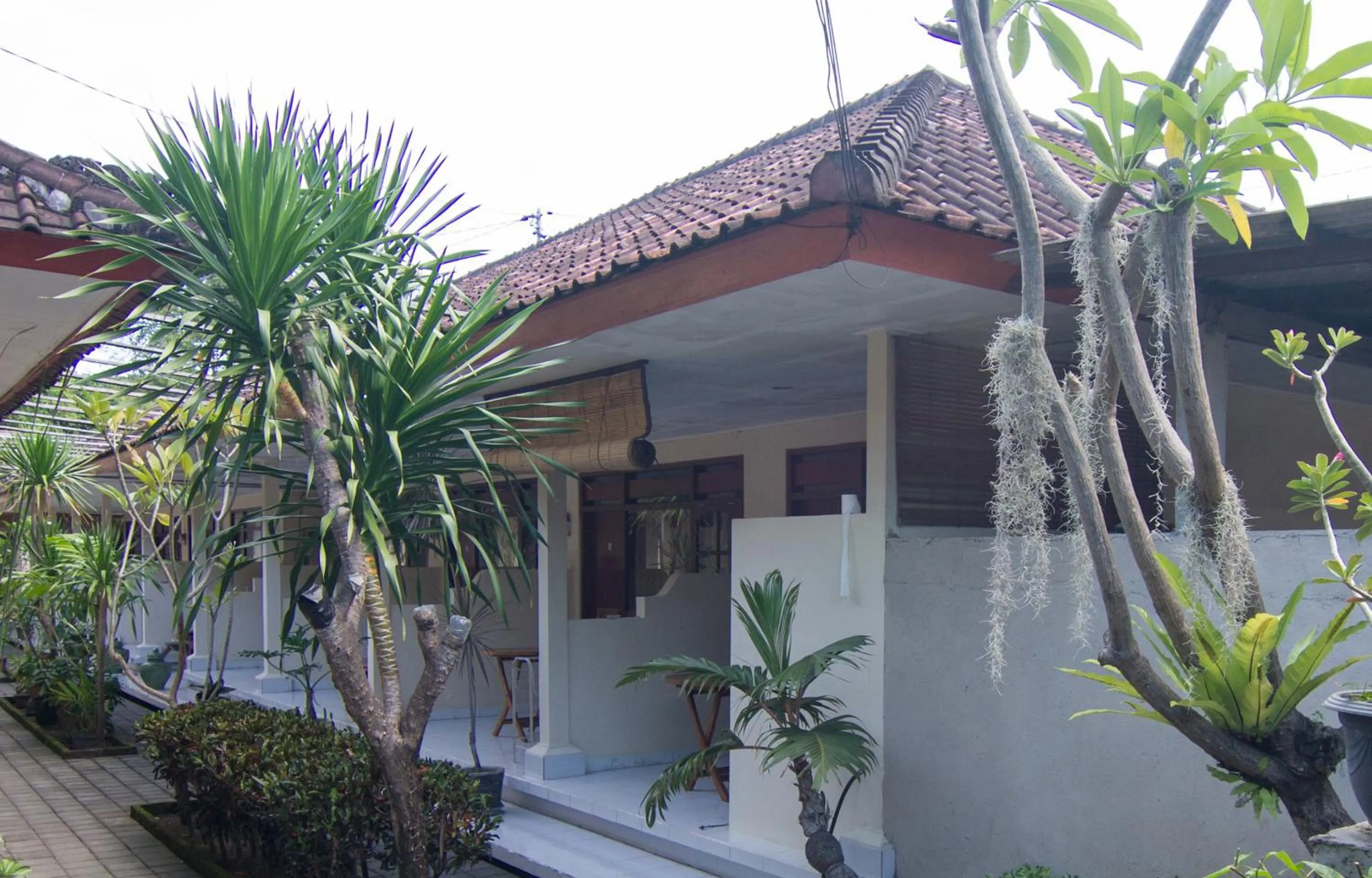 Garden in Pondok Nuri Homestay