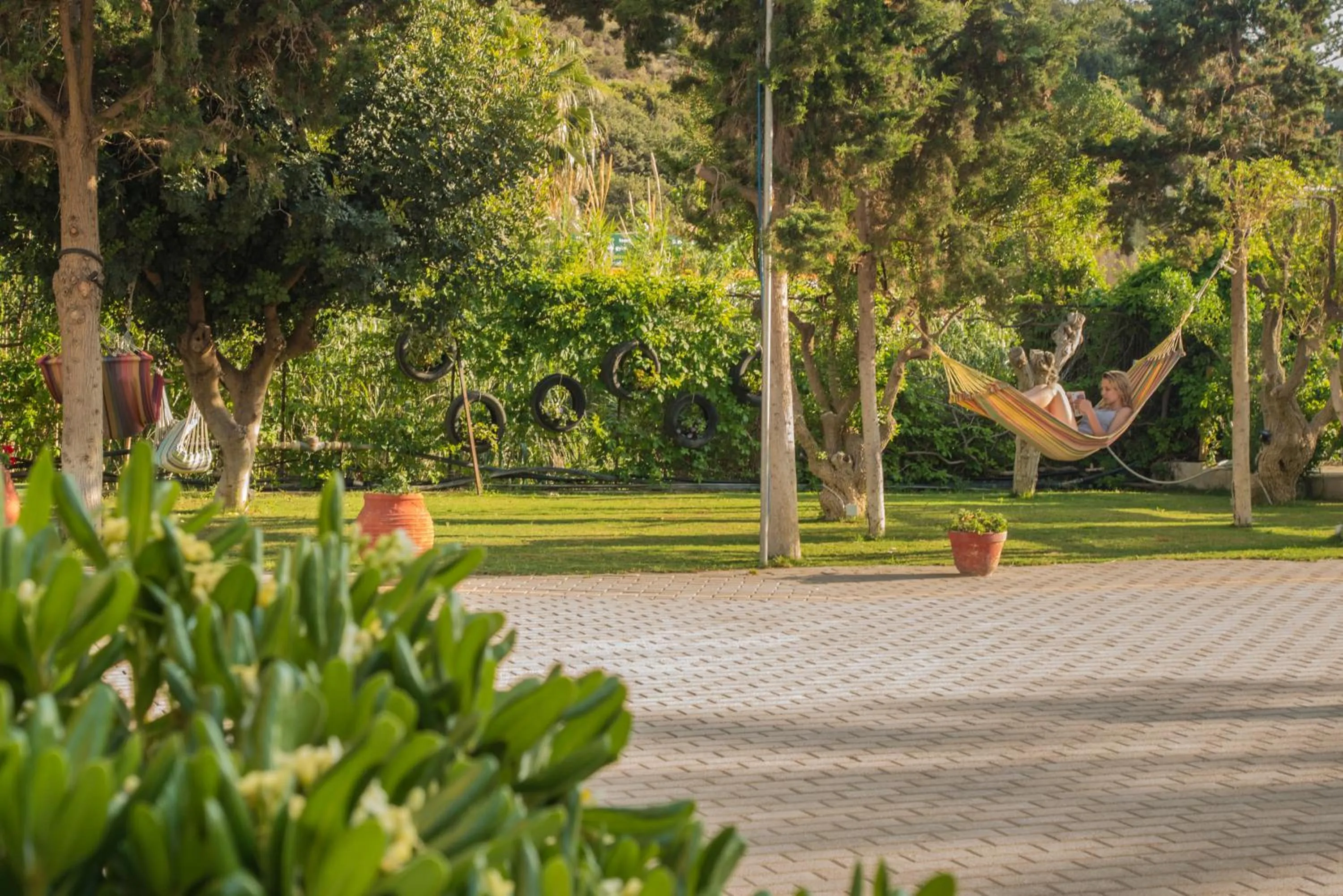 Garden in Fragiskos Hotel
