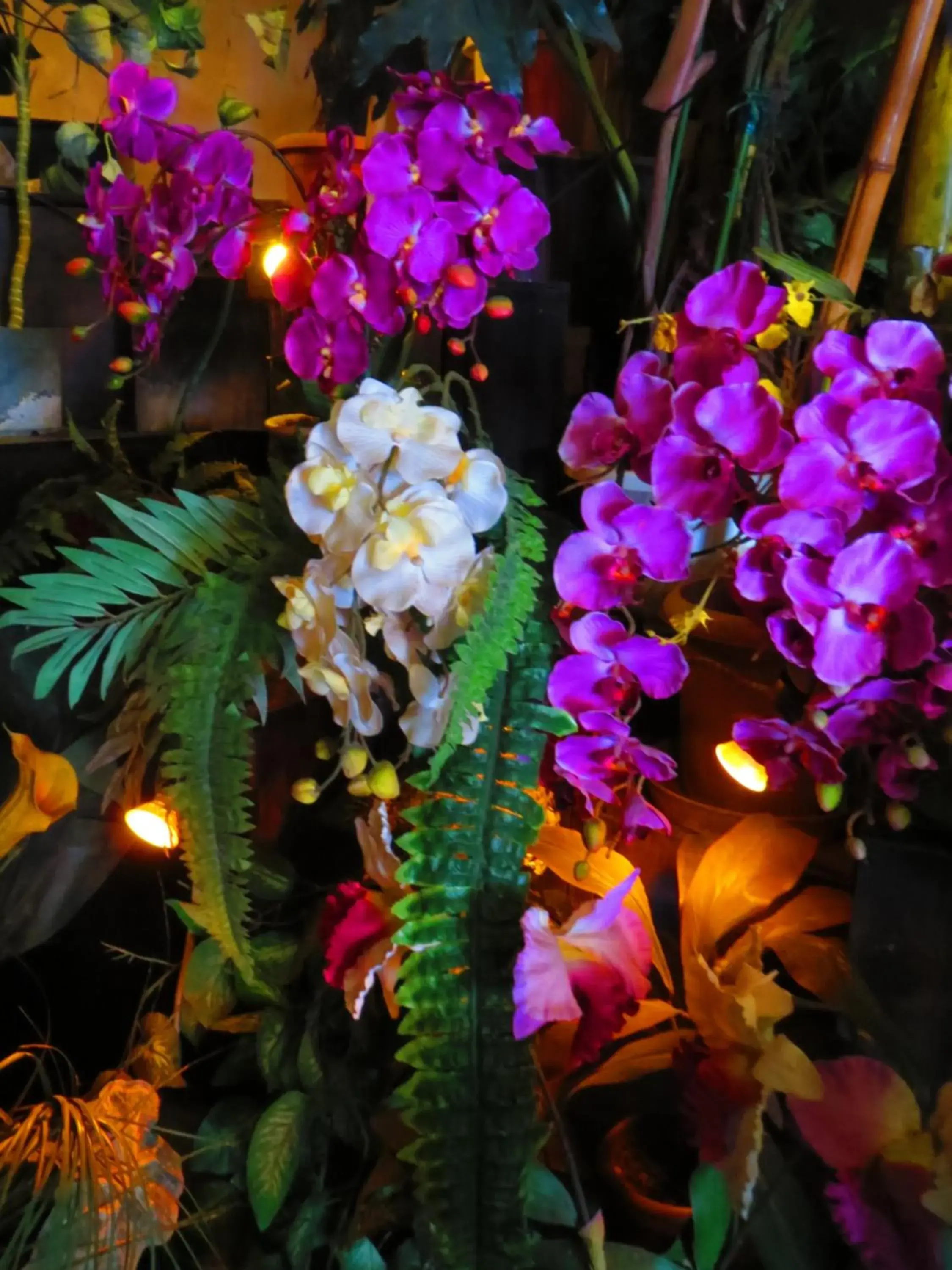 Stella Resort Stella Resort