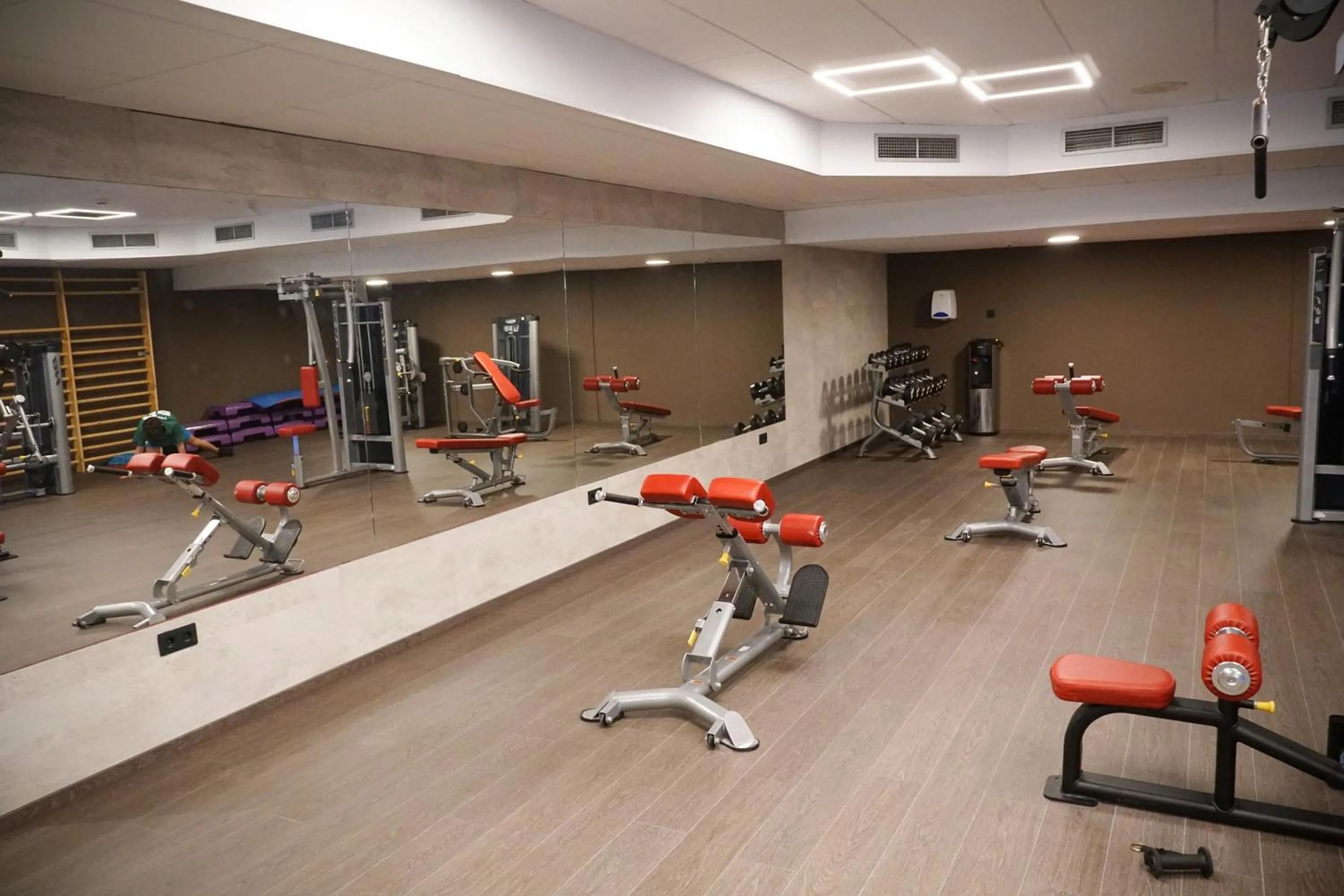Fitness centre/facilities in Ohtels Vil·la Romana