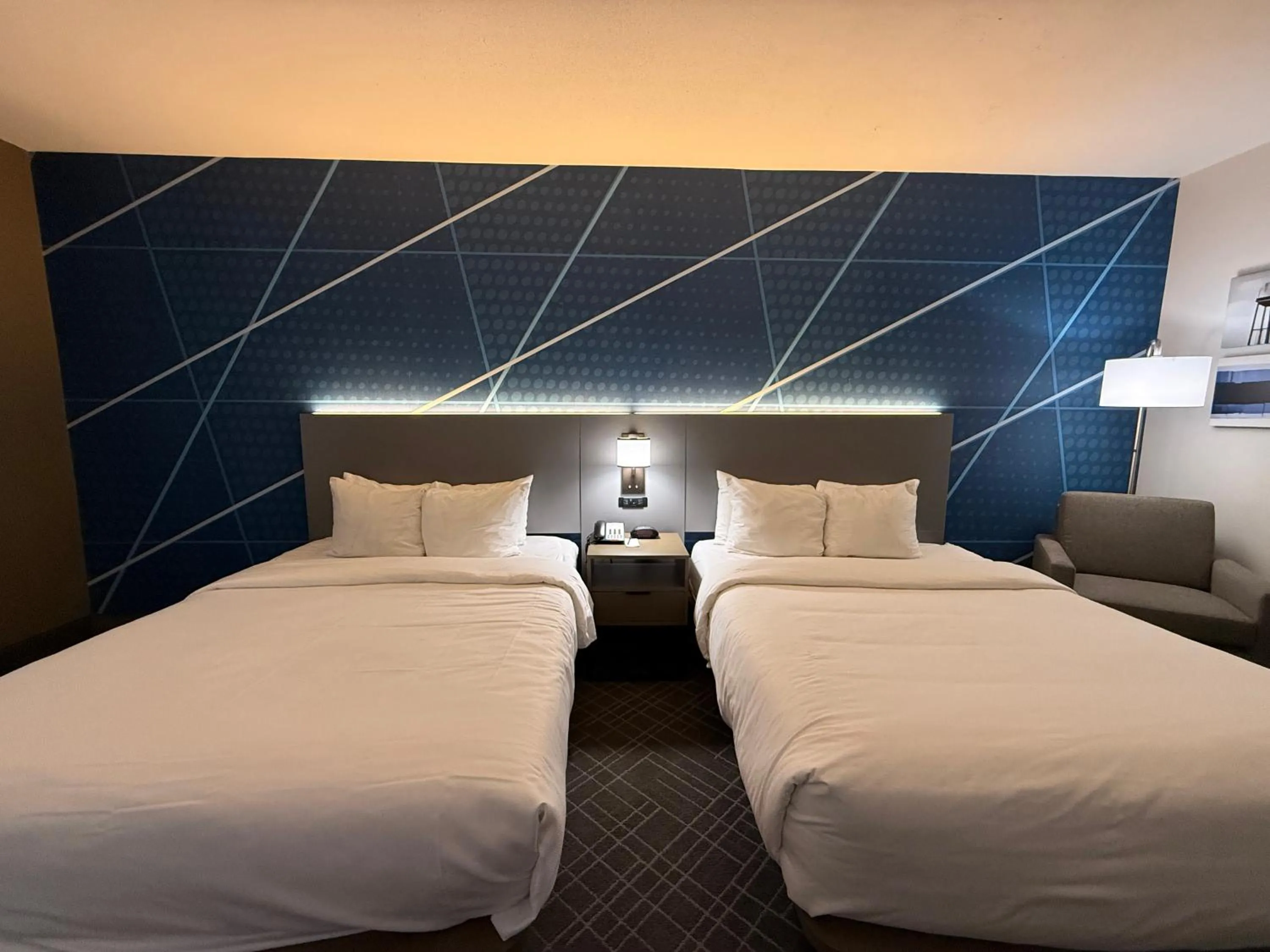 Bed in Comfort Inn & Suites Love Field-Dallas Market Center