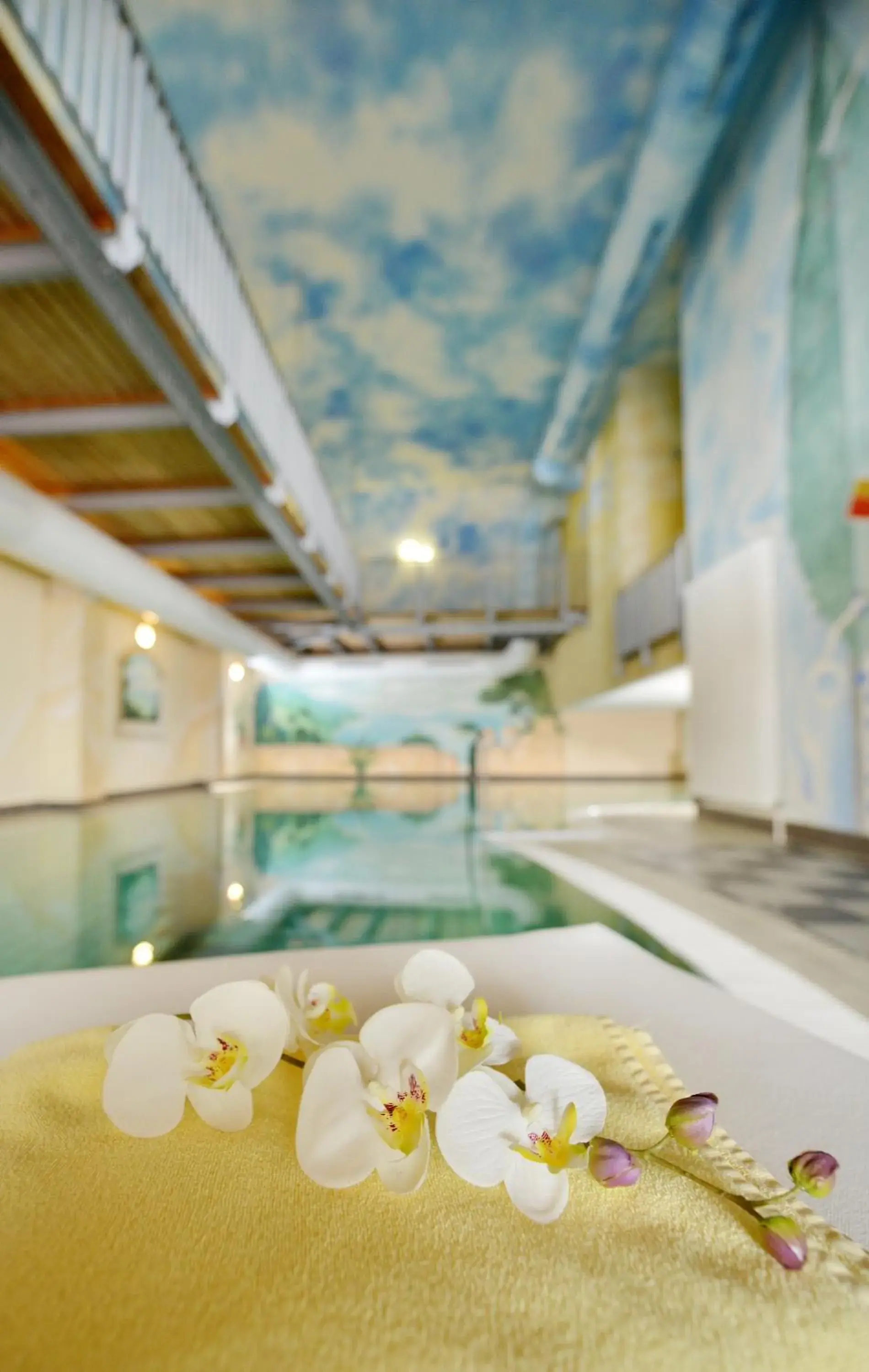 Swimming Pool in Hotel Randsbergerhof