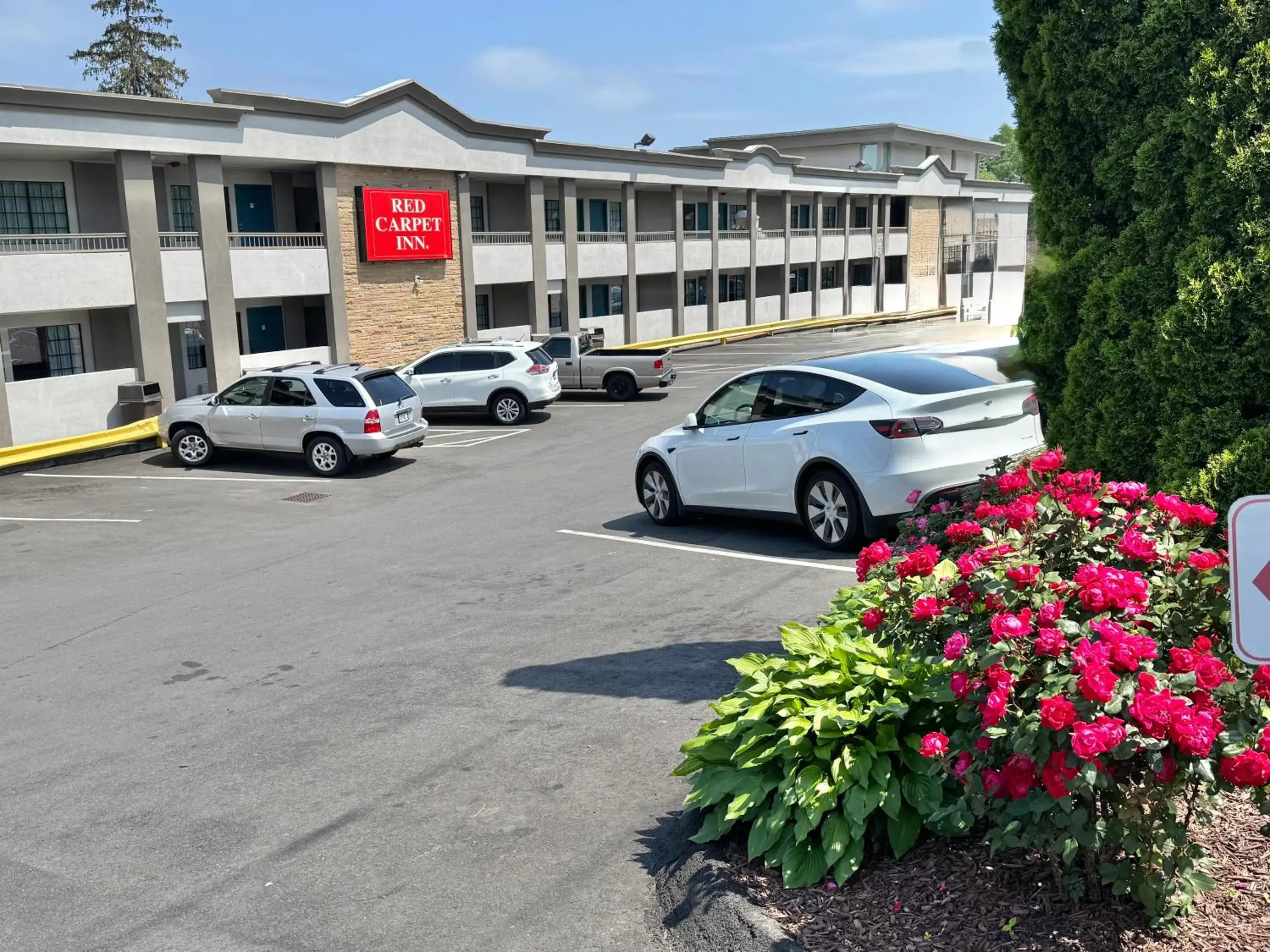 Property building in Red Carpet Inn - Stamford Property building in Red Carpet Inn - Stamford