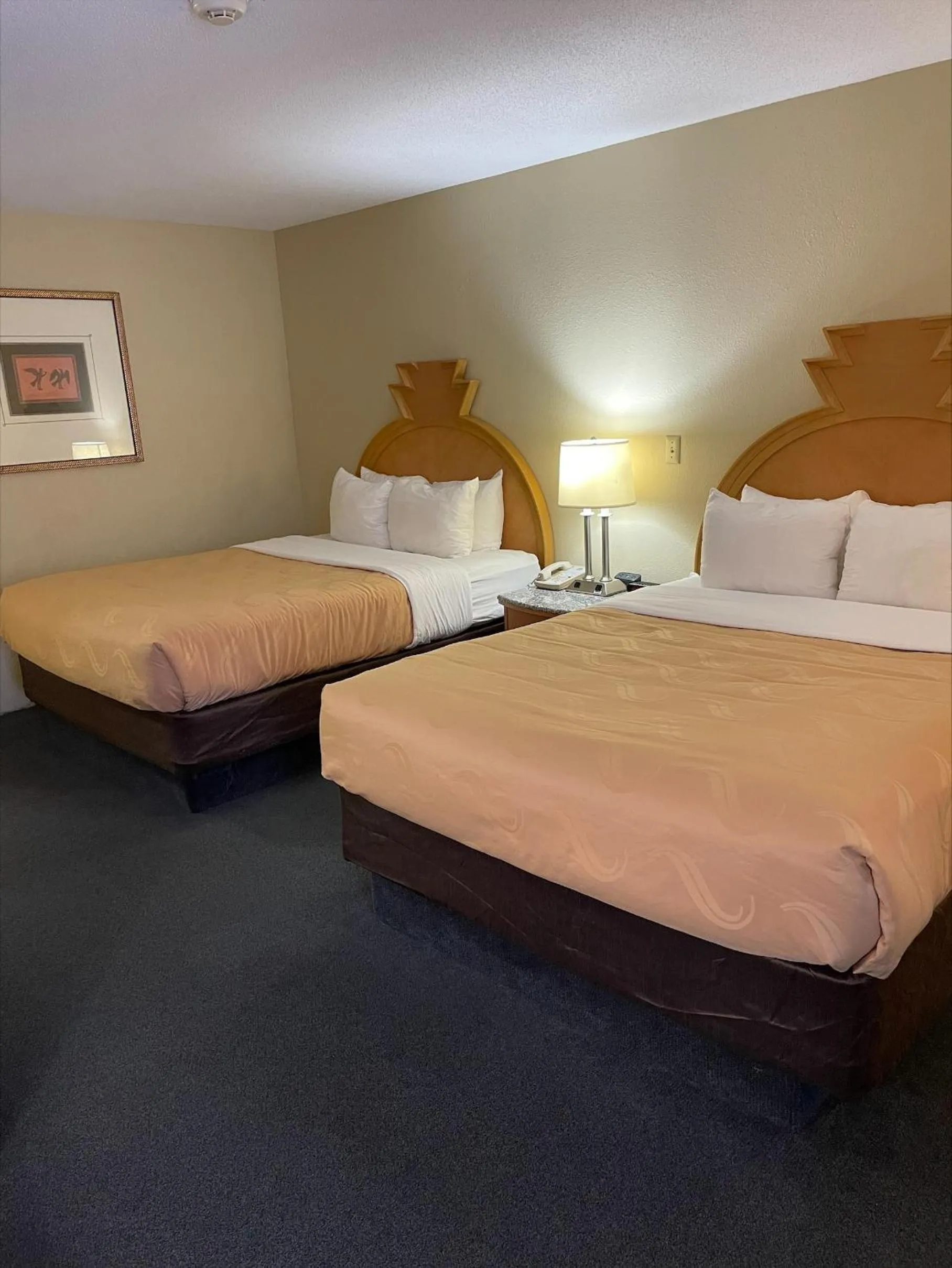 Bed in Quality Inn & Suites Greenfield I-70