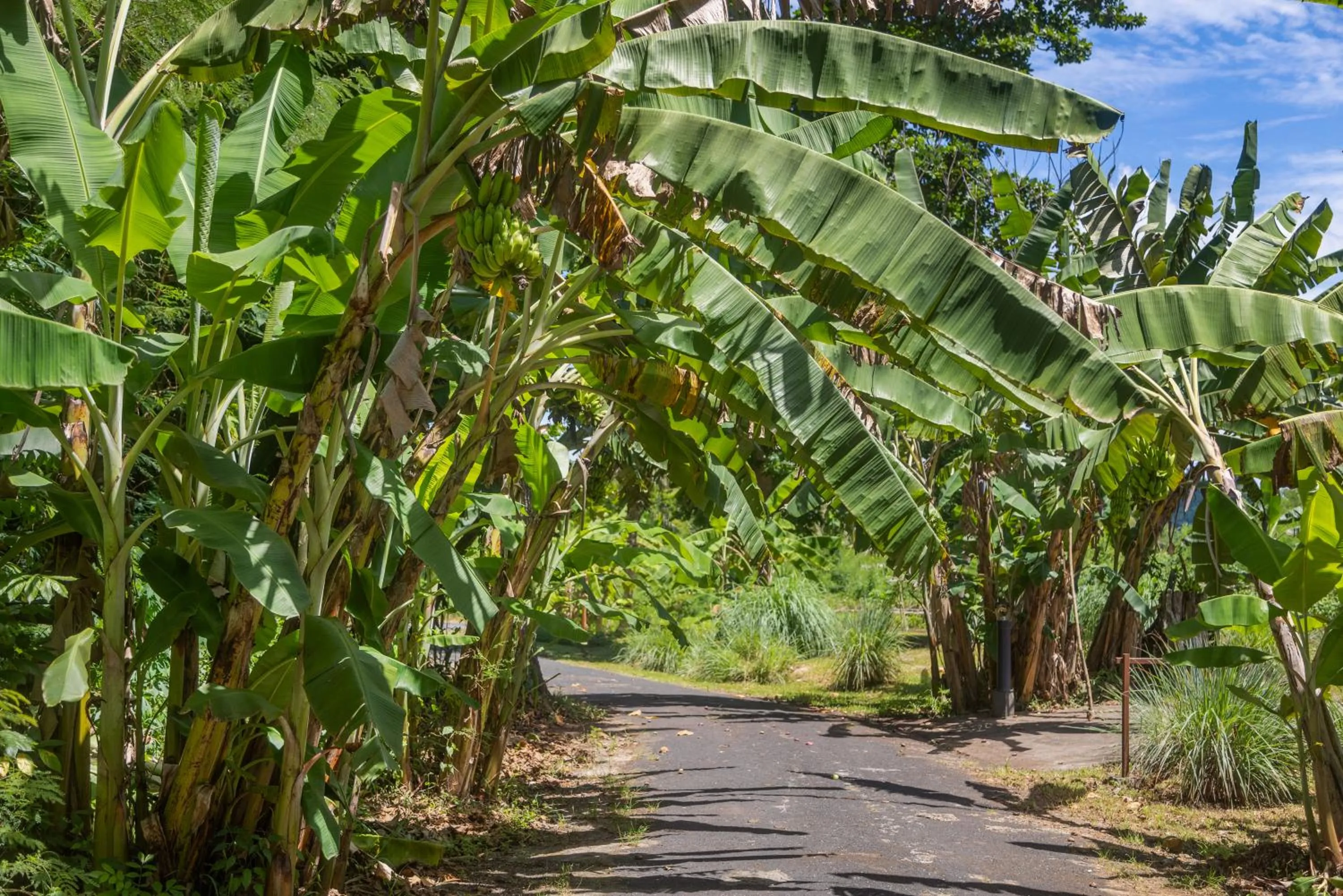 Other in Iririki Island Resort & Spa