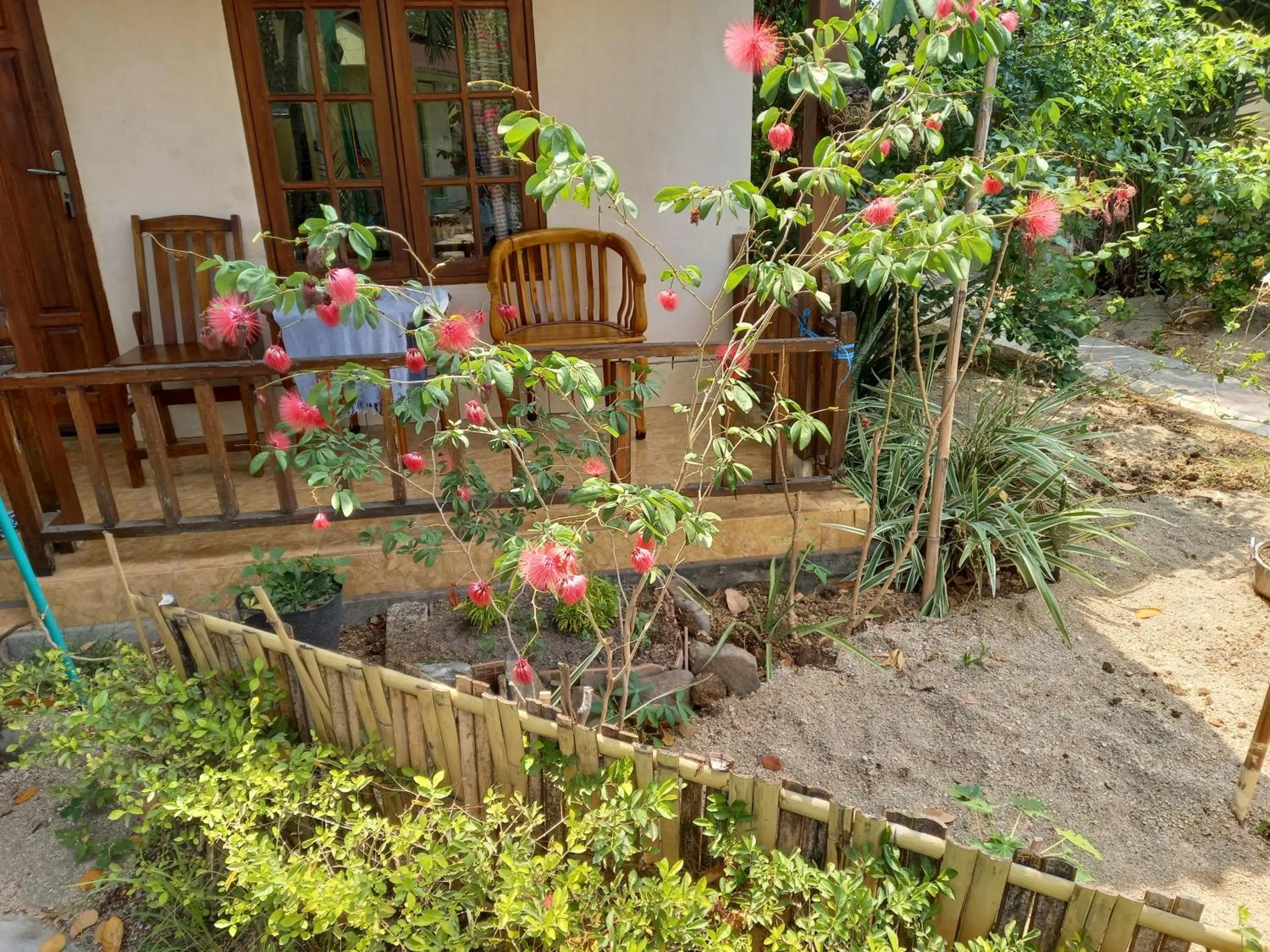 View (from property/room) in Arnel Bungalows