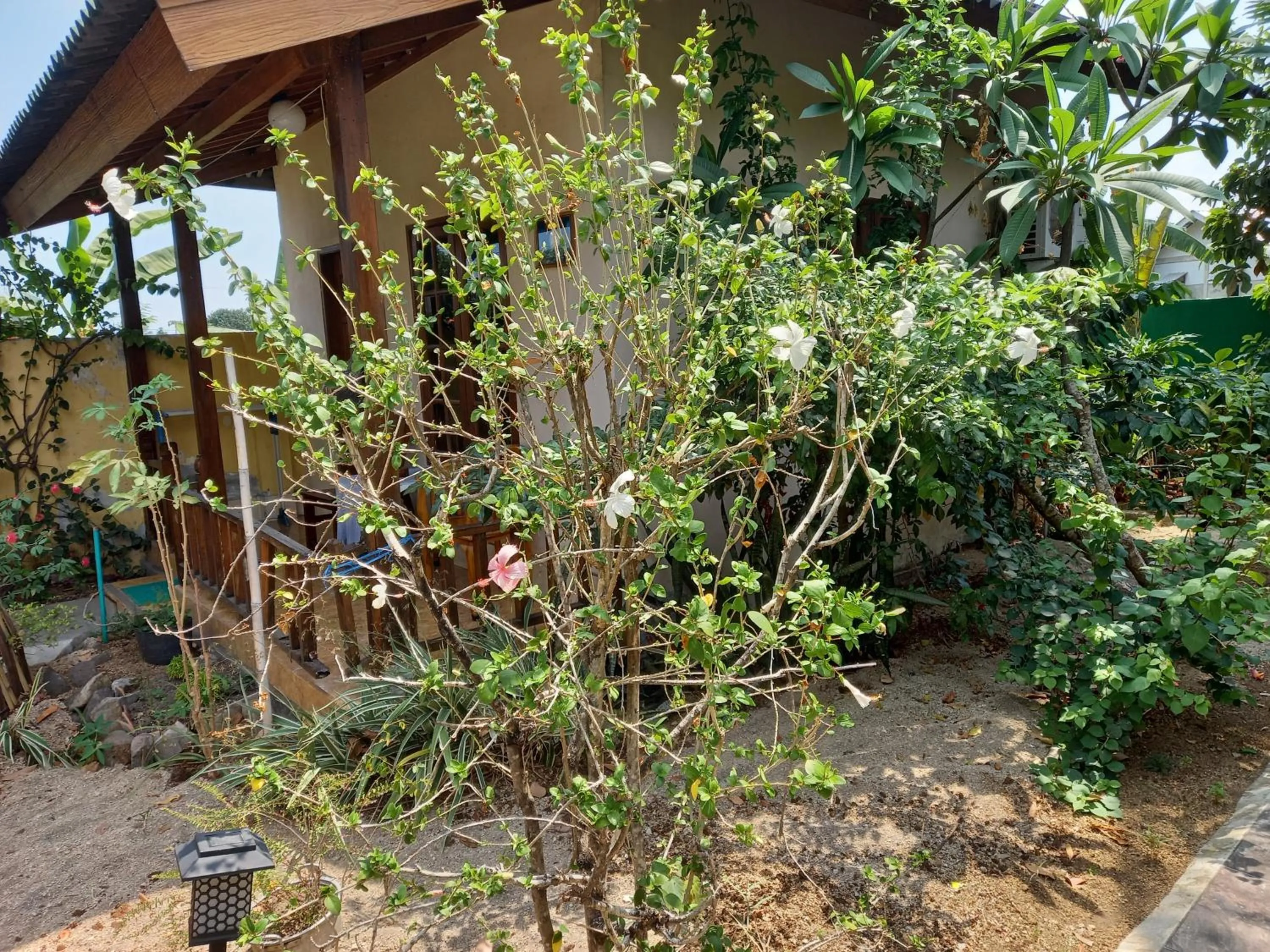 View (from property/room) in Arnel Bungalows
