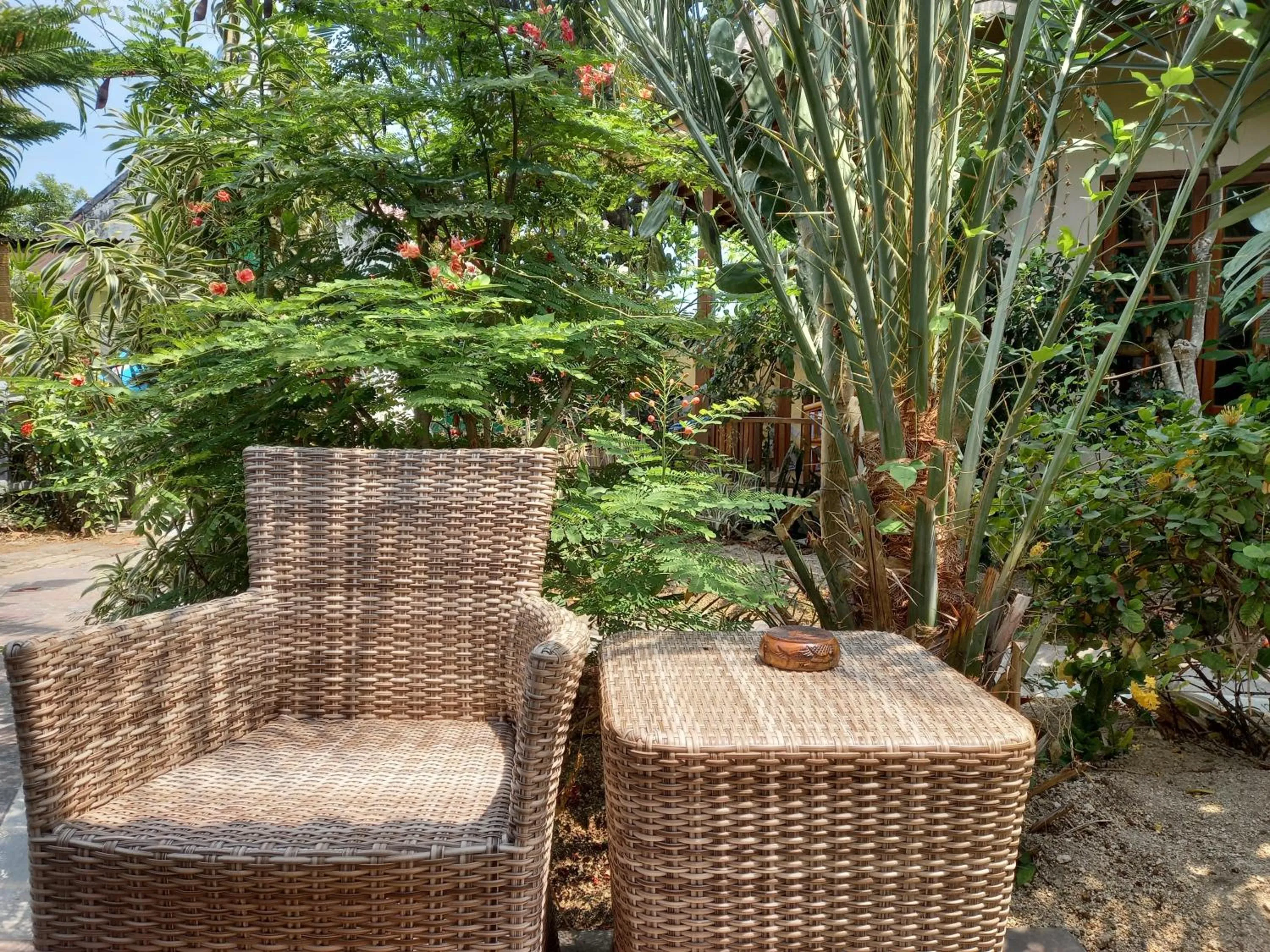 Garden view in Arnel Bungalows