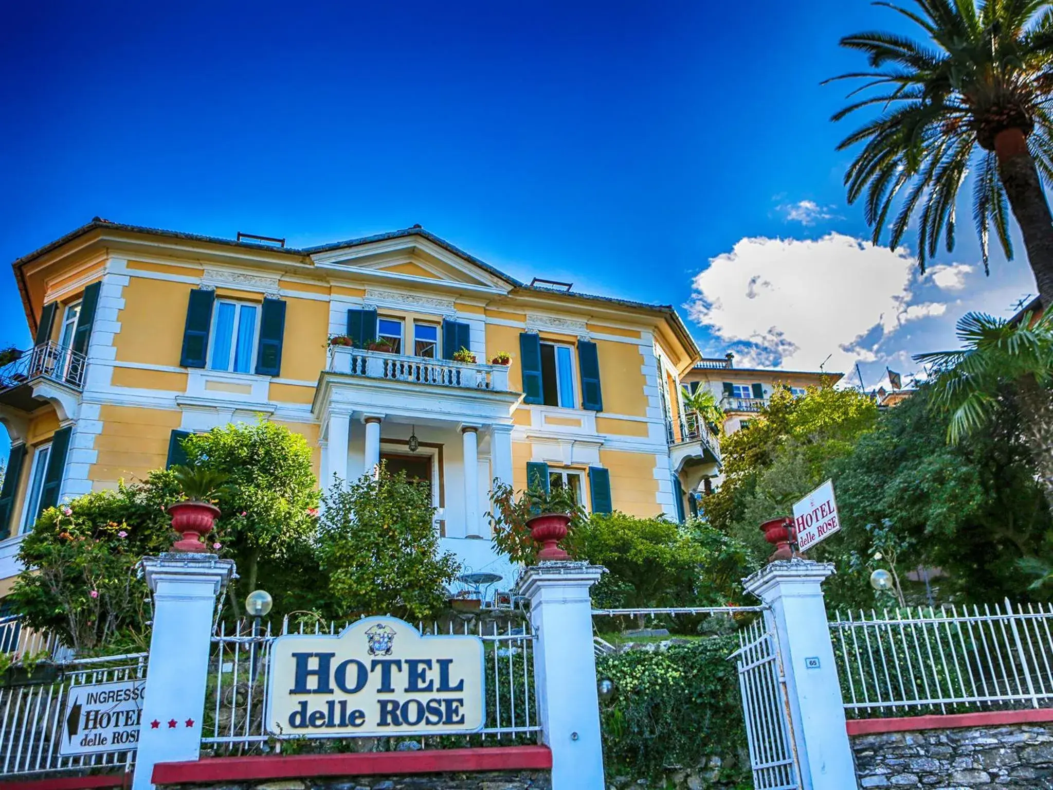 Hotel Delle Rose Hotel Delle Rose