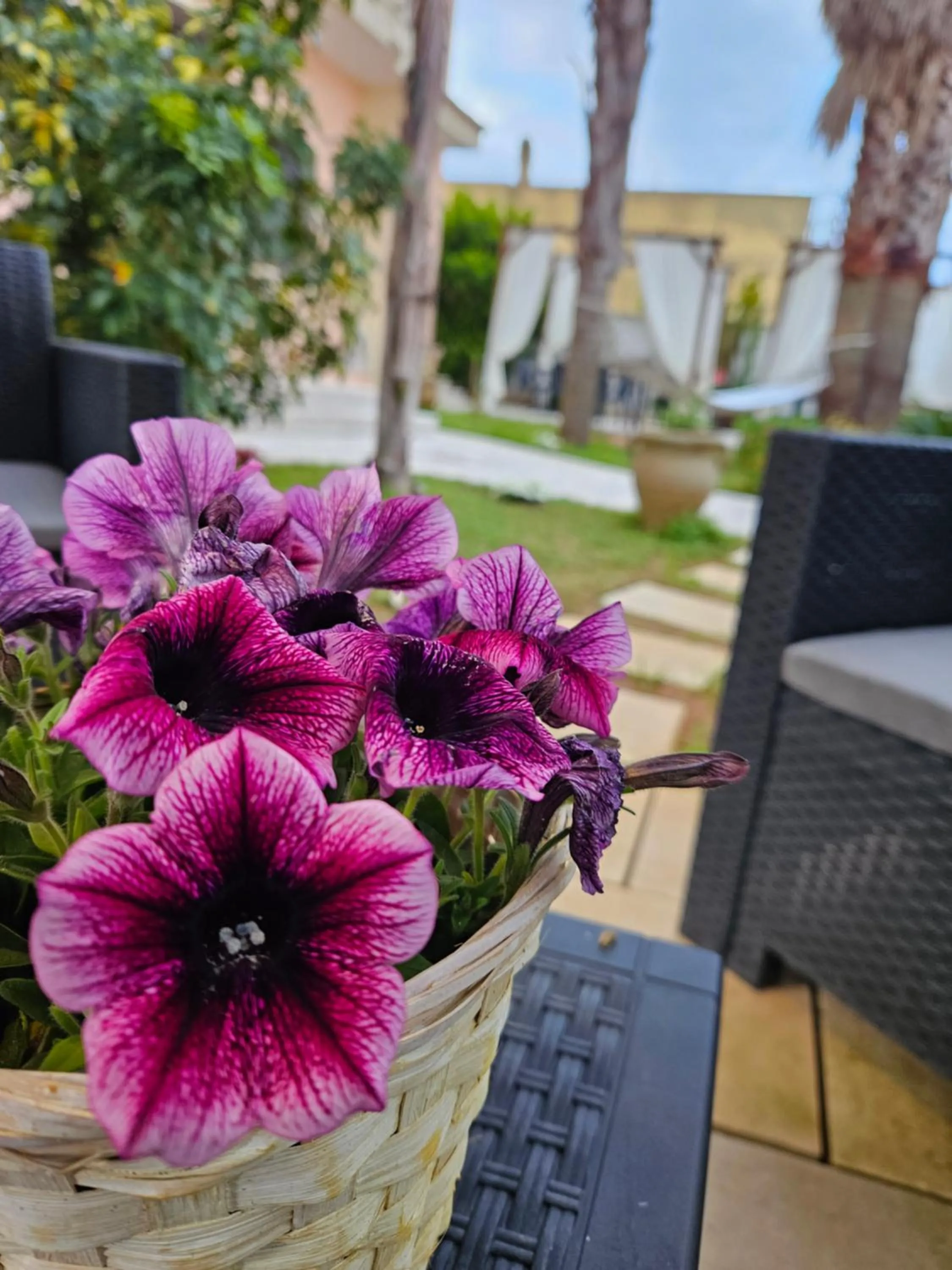 Garden in Dimora Sole del Sud