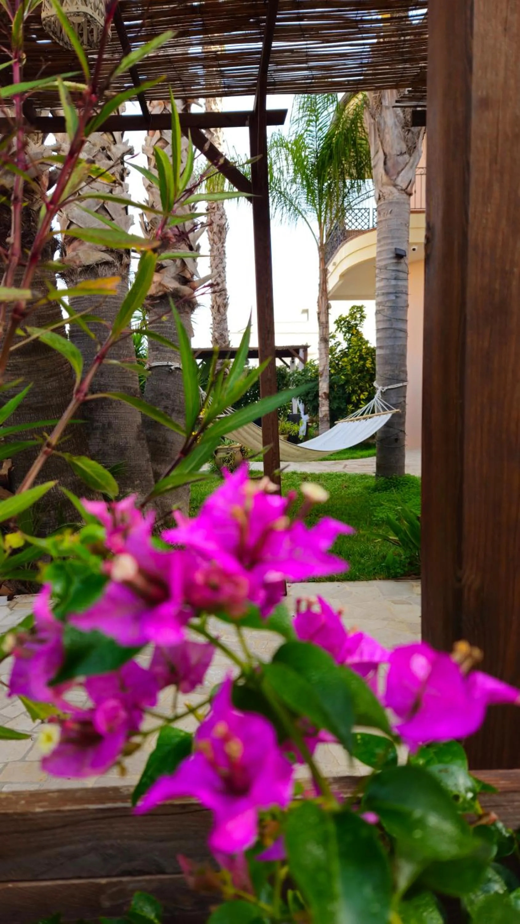 Garden in Dimora Sole del Sud