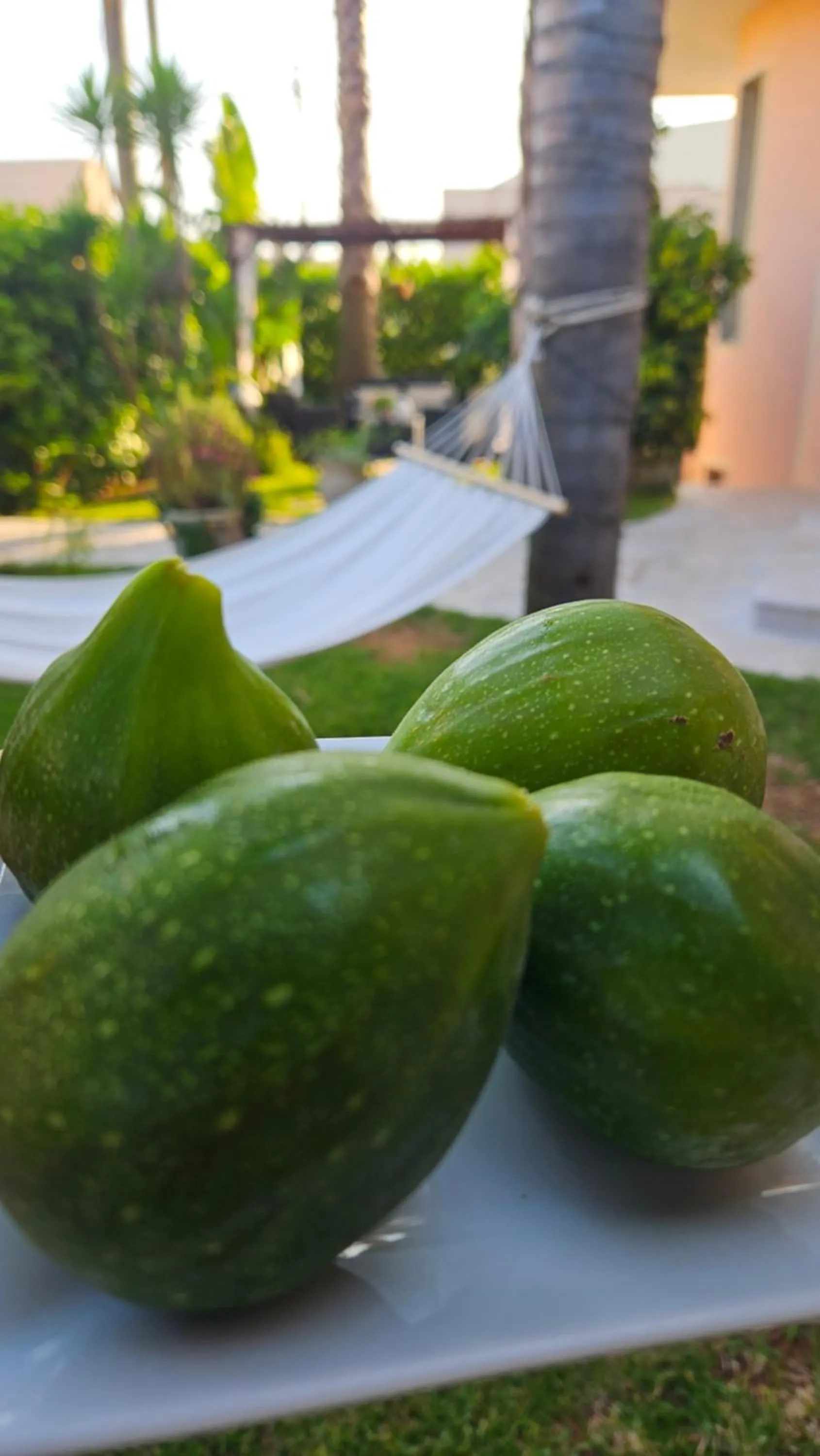 Breakfast in Dimora Sole del Sud