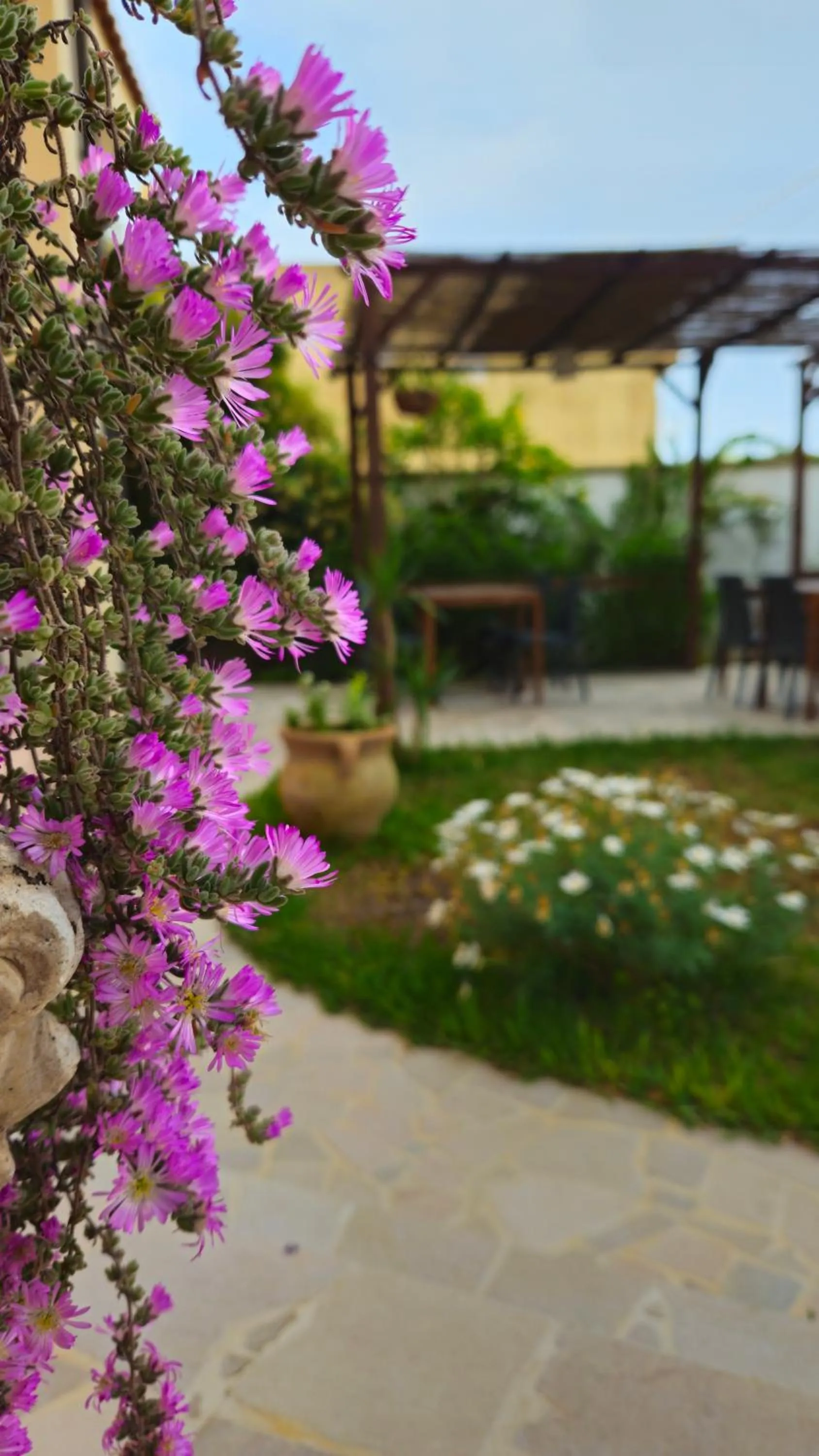 Garden in Dimora Sole del Sud