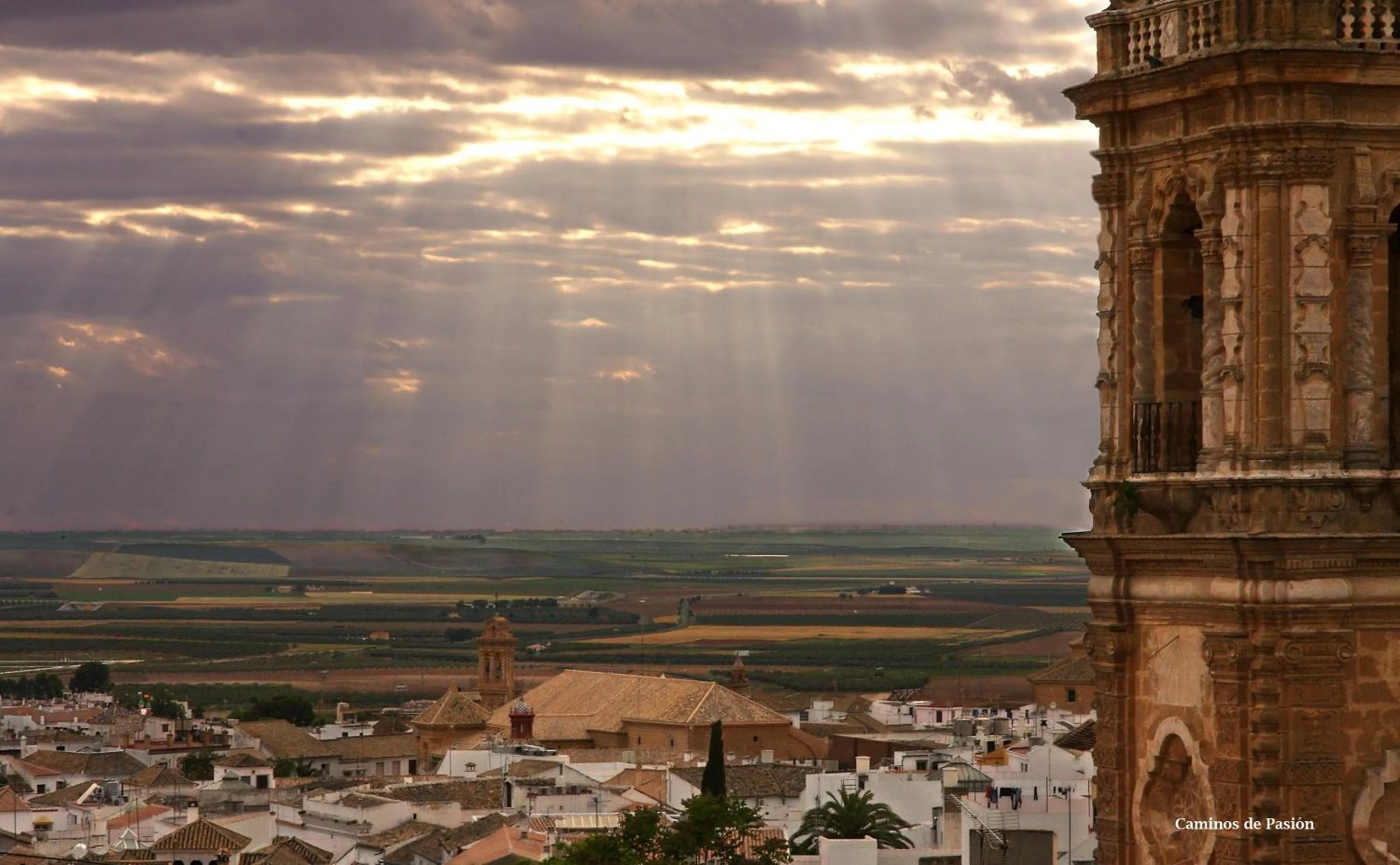 Activities in Hotel El Molino