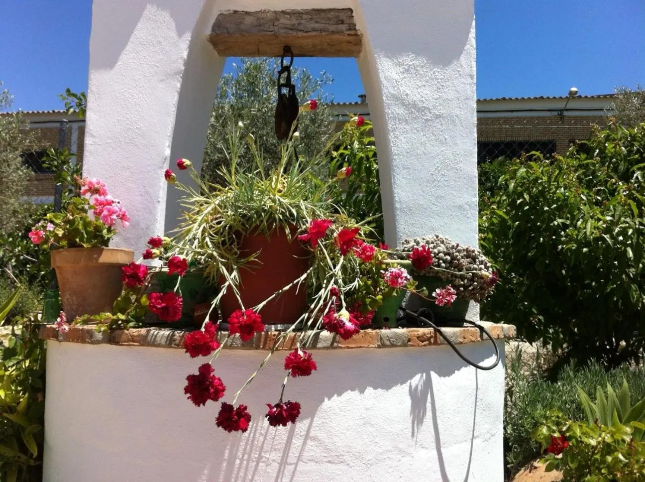 Patio in Hotel El Molino