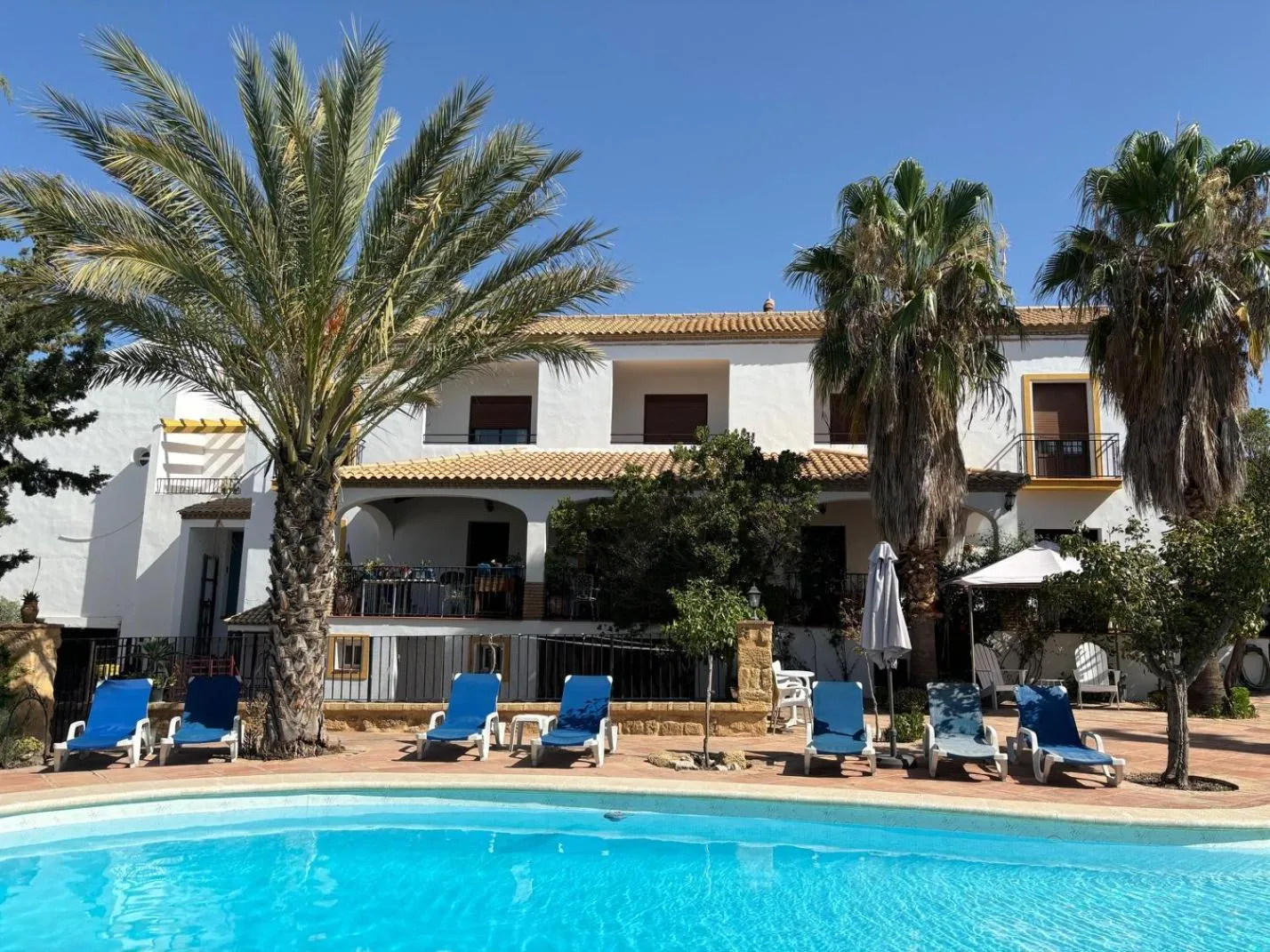 Garden in Hotel El Molino