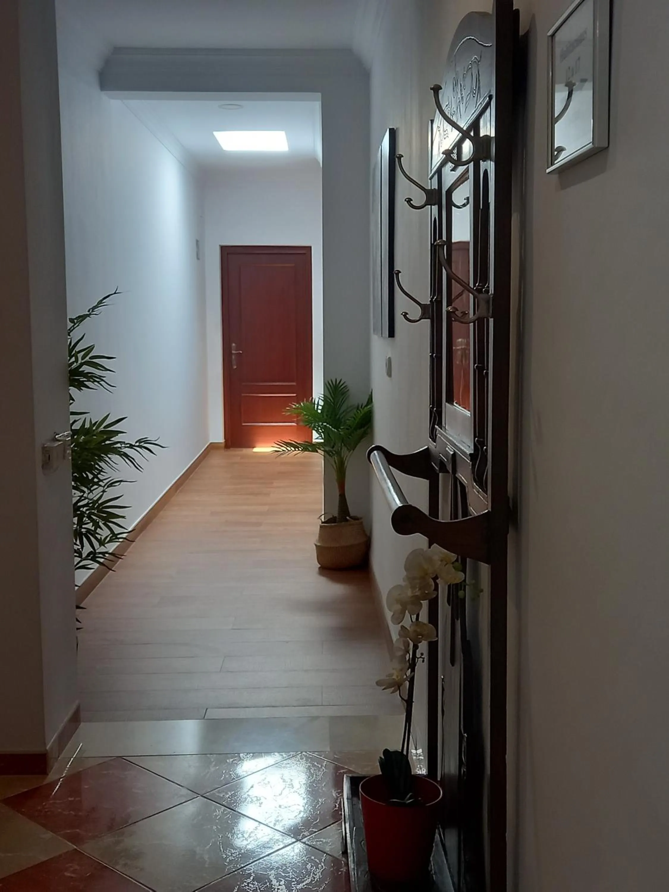 Area and facilities in Hotel El Molino