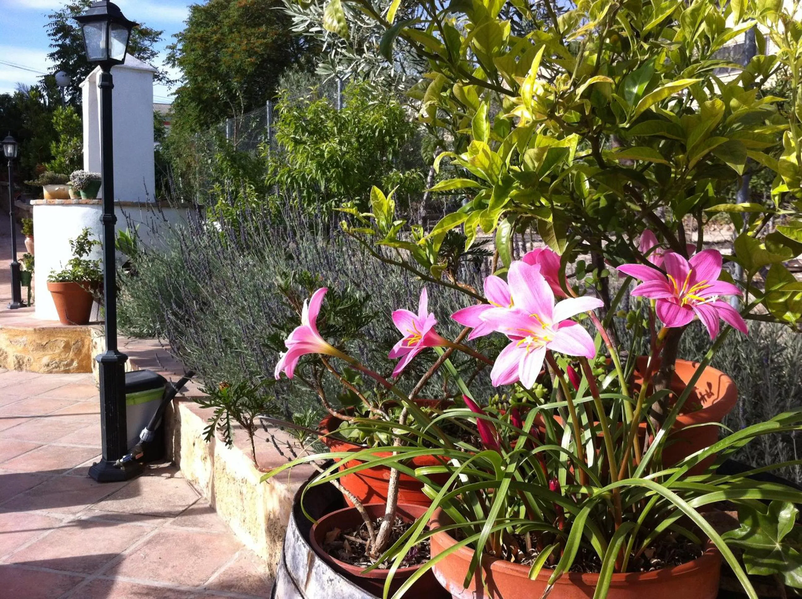 Day in Hotel El Molino