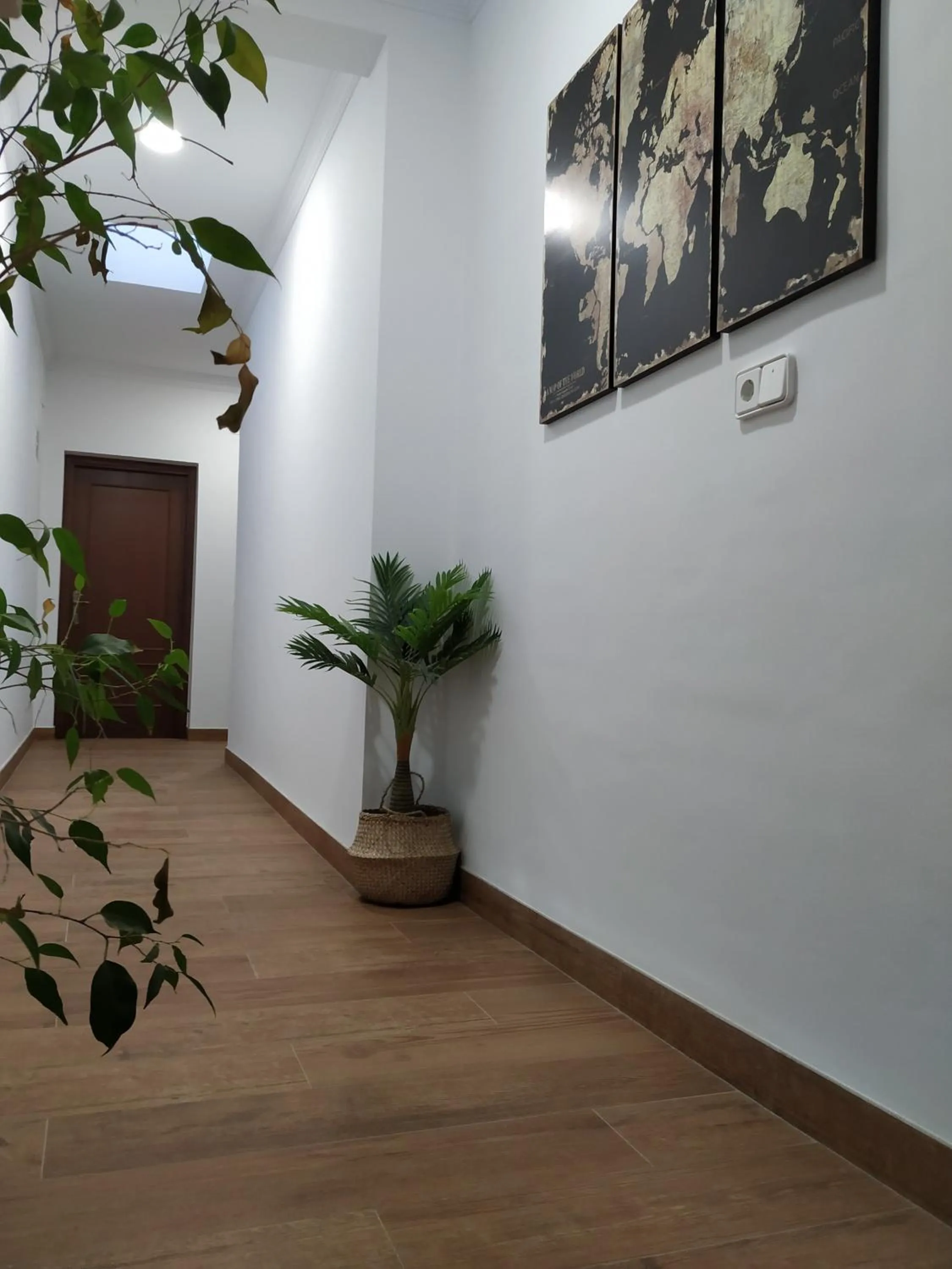 Area and facilities in Hotel El Molino