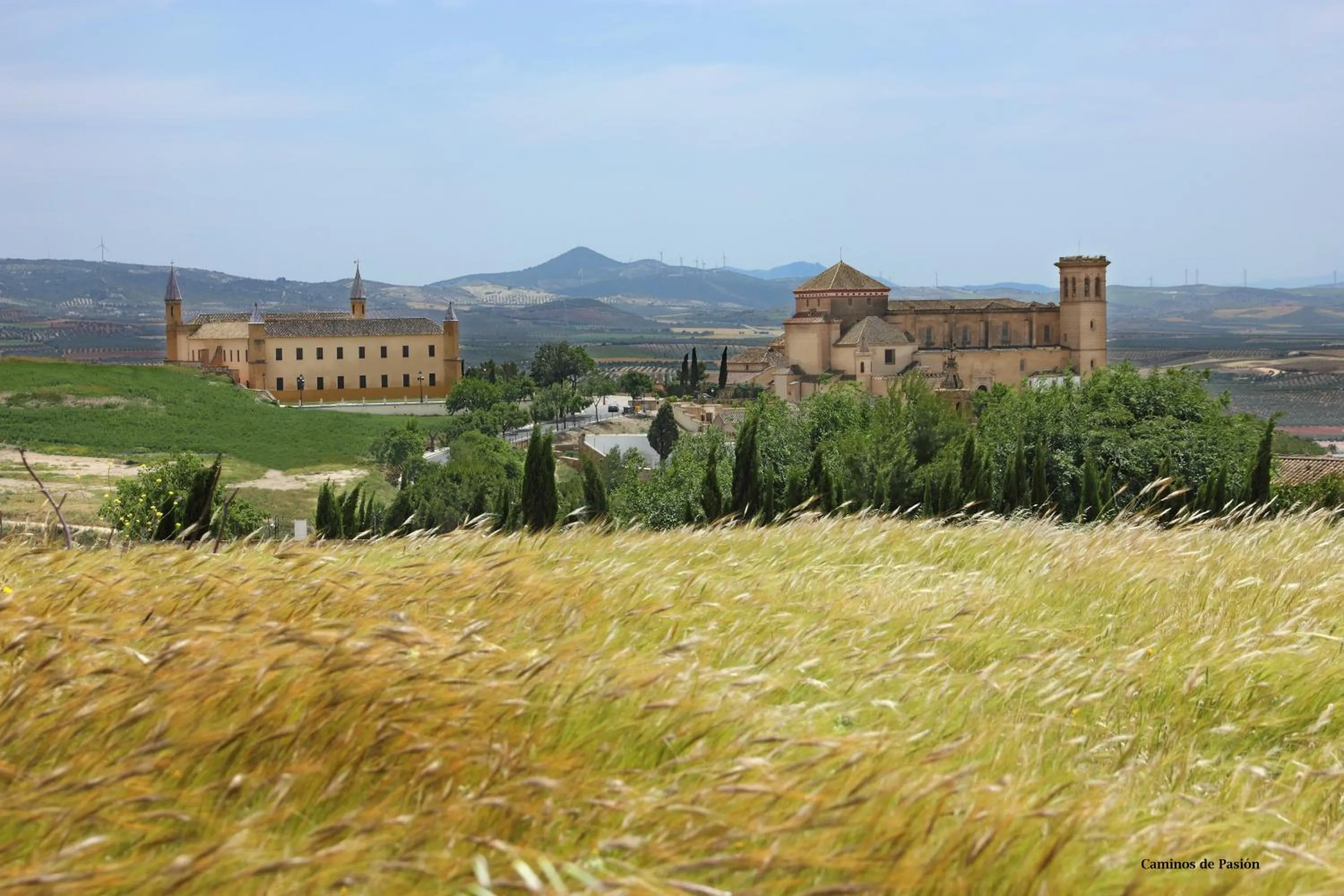 Activities in Hotel El Molino