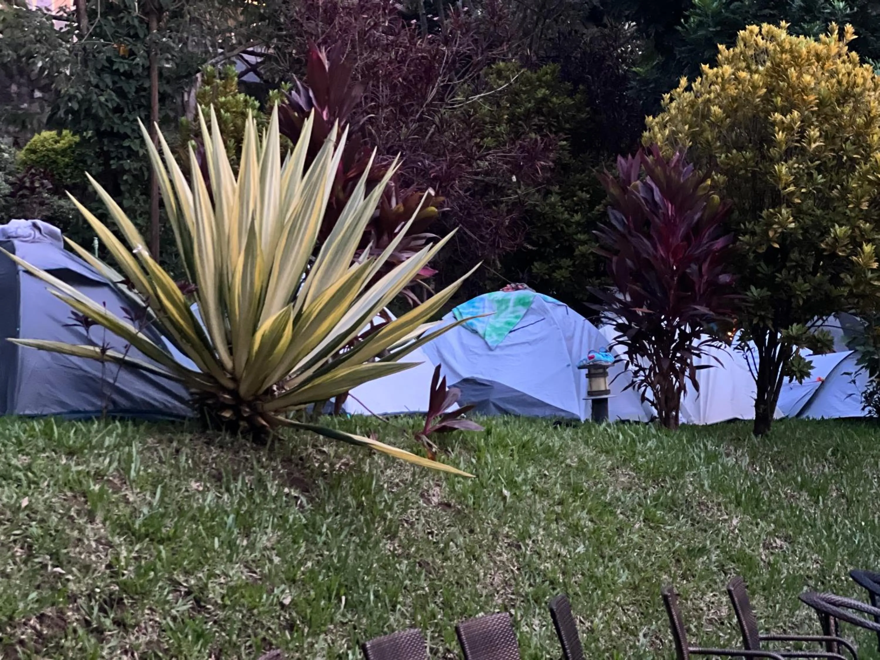 Garden in Nokras Riverine Hotel & Spa