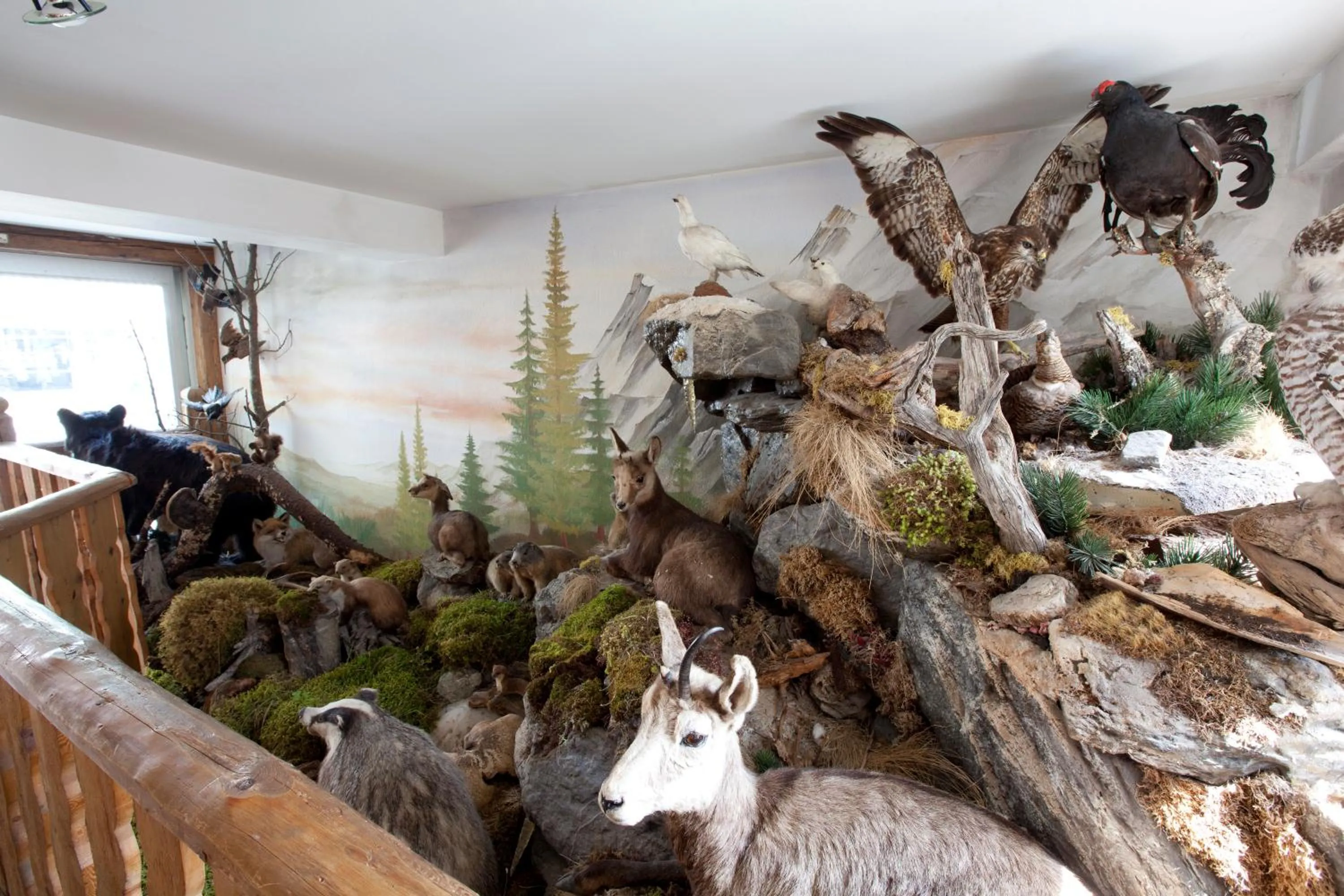 Other in Hotel Astras