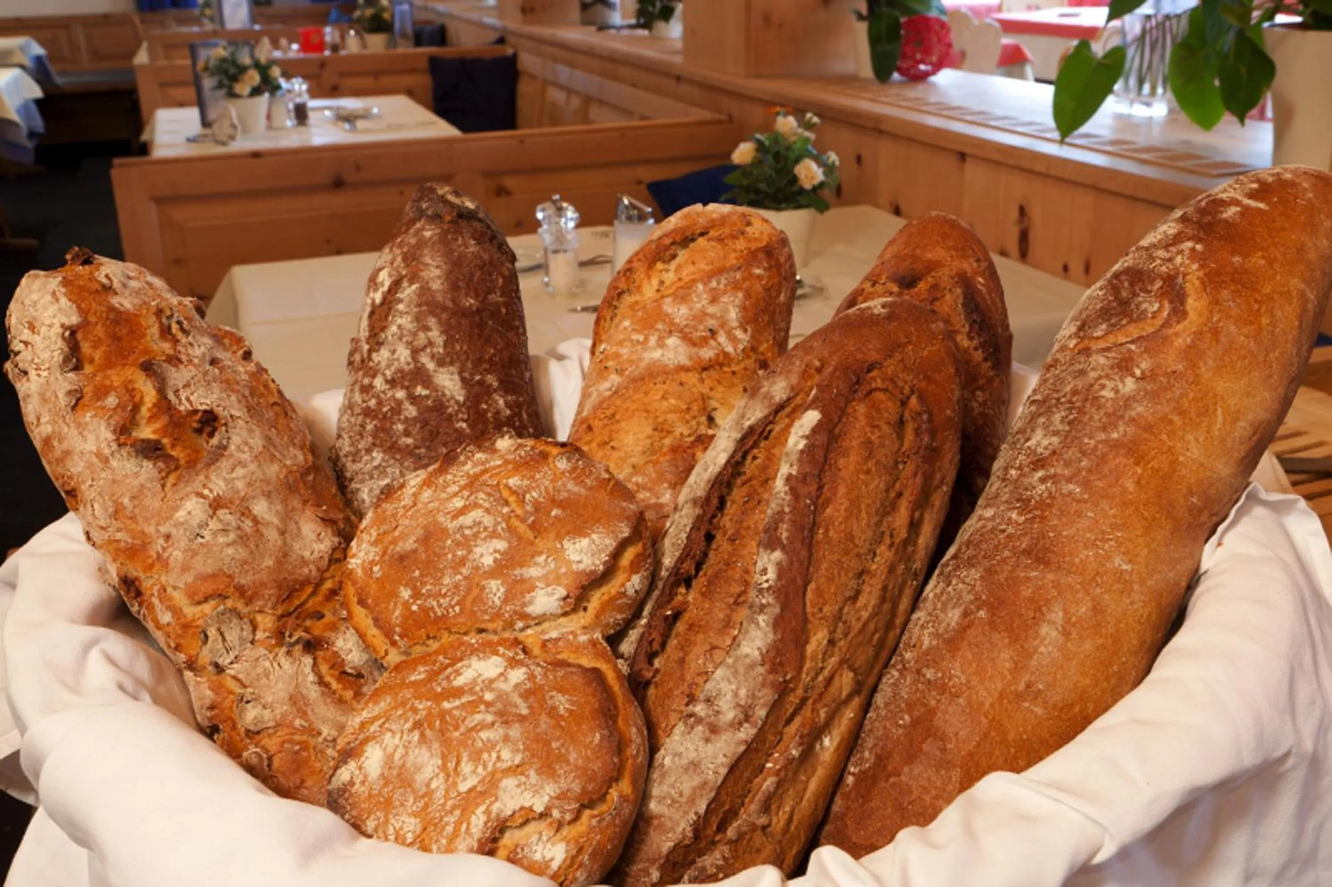 Restaurant/places to eat in Hotel Astras