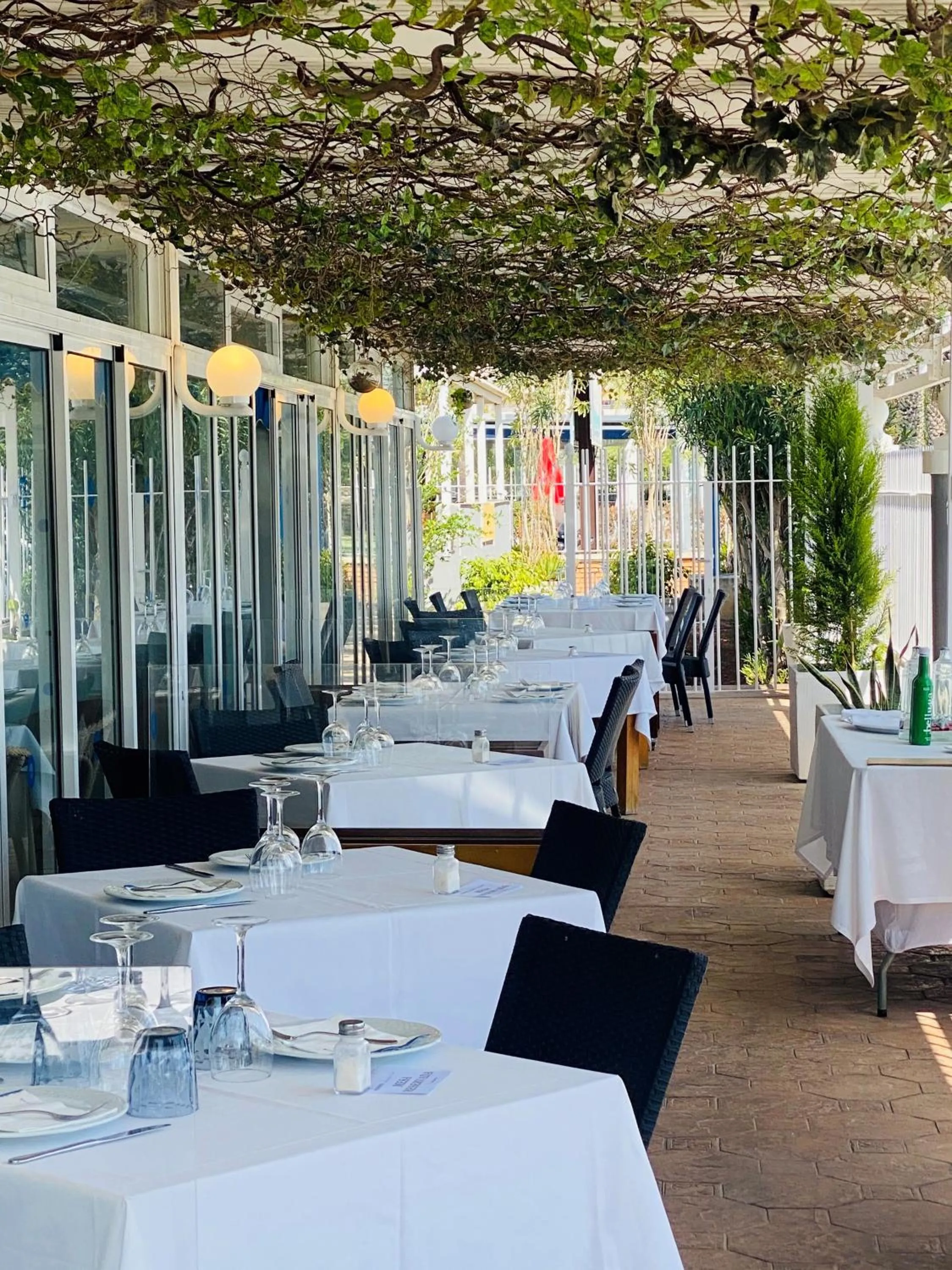 Restaurant/places to eat in Hotel Playa Canet