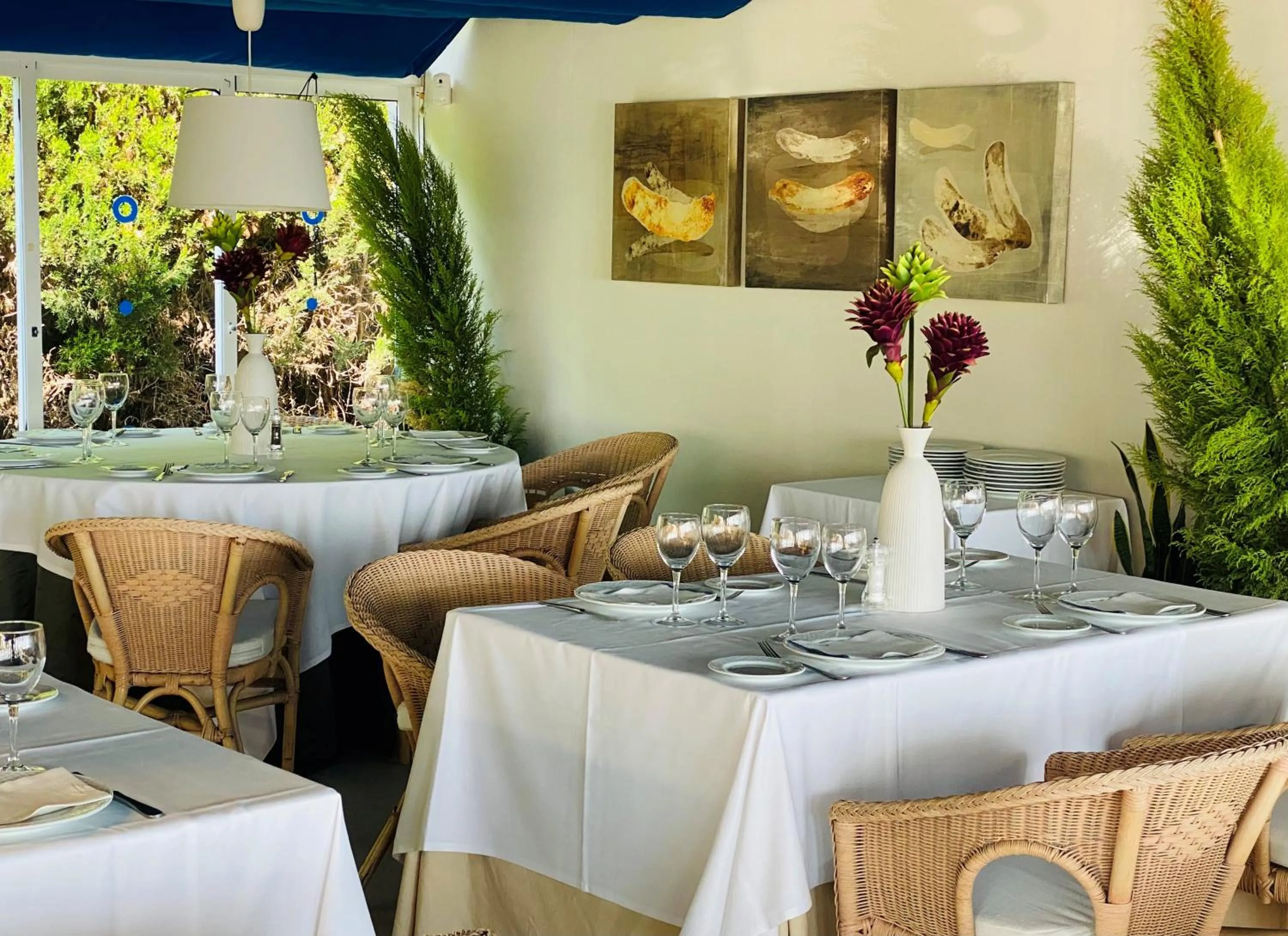 Restaurant/places to eat in Hotel Playa Canet
