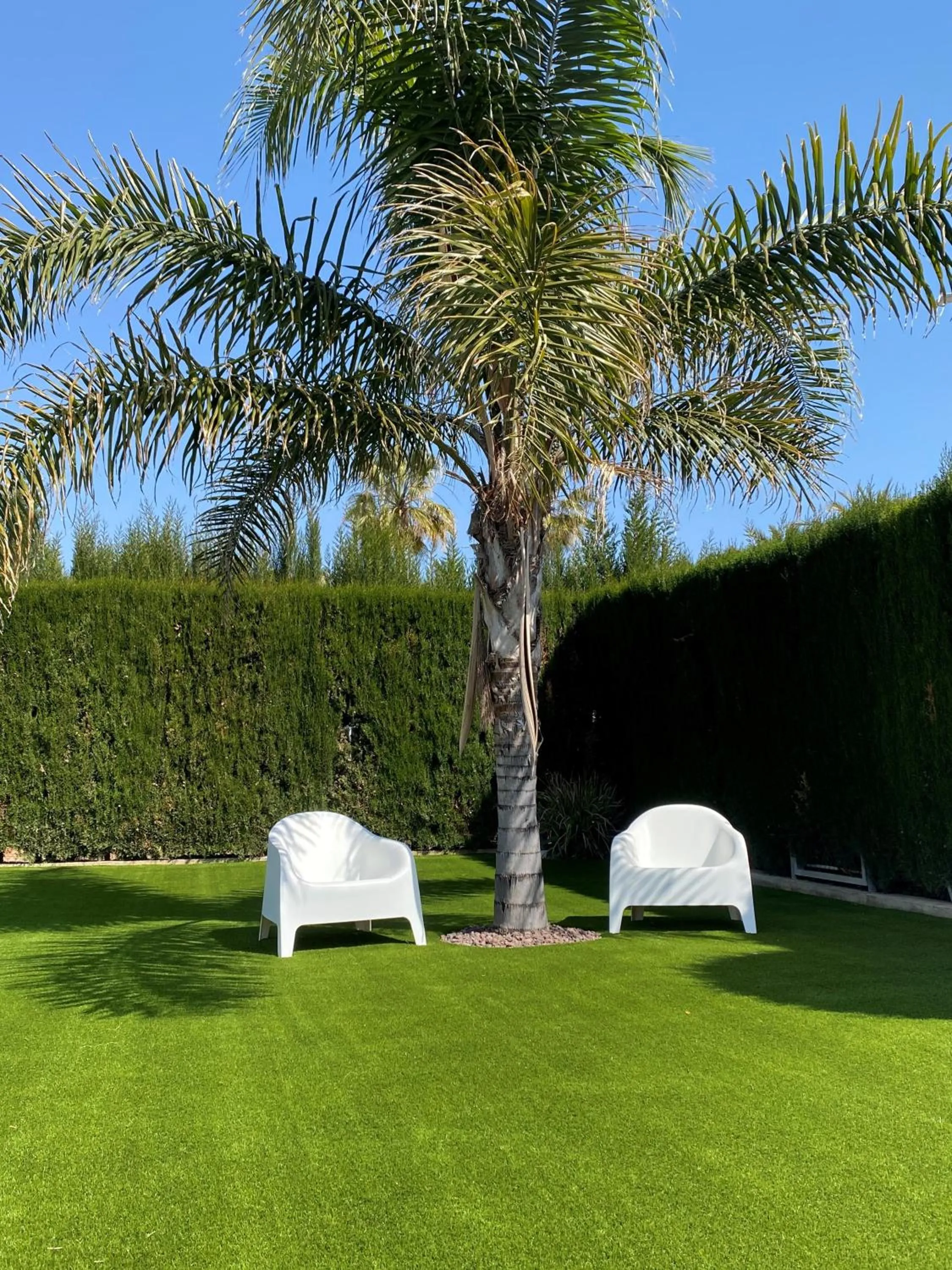 Garden in Hotel Playa Canet