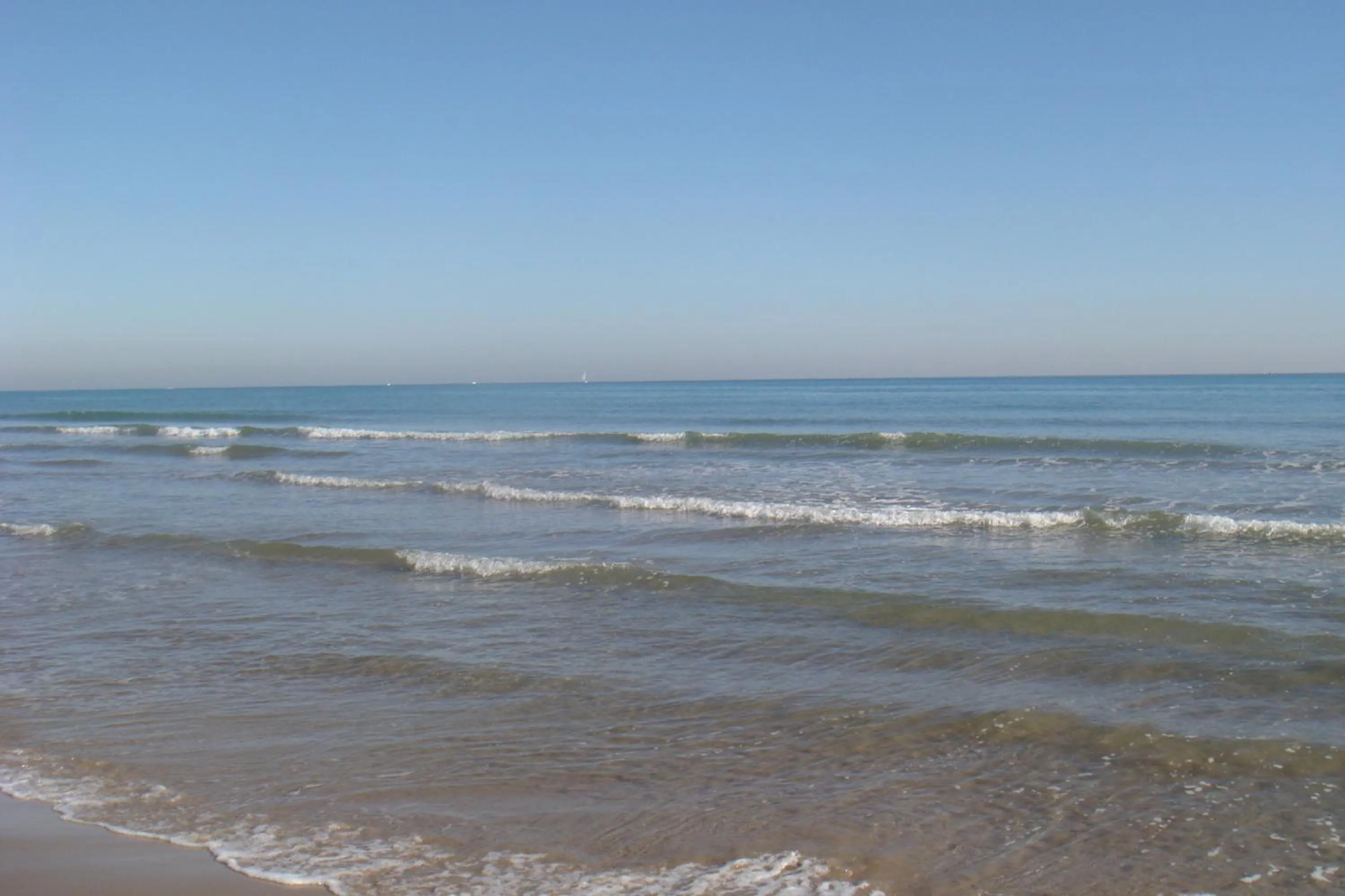 Beach in Hotel Playa Canet