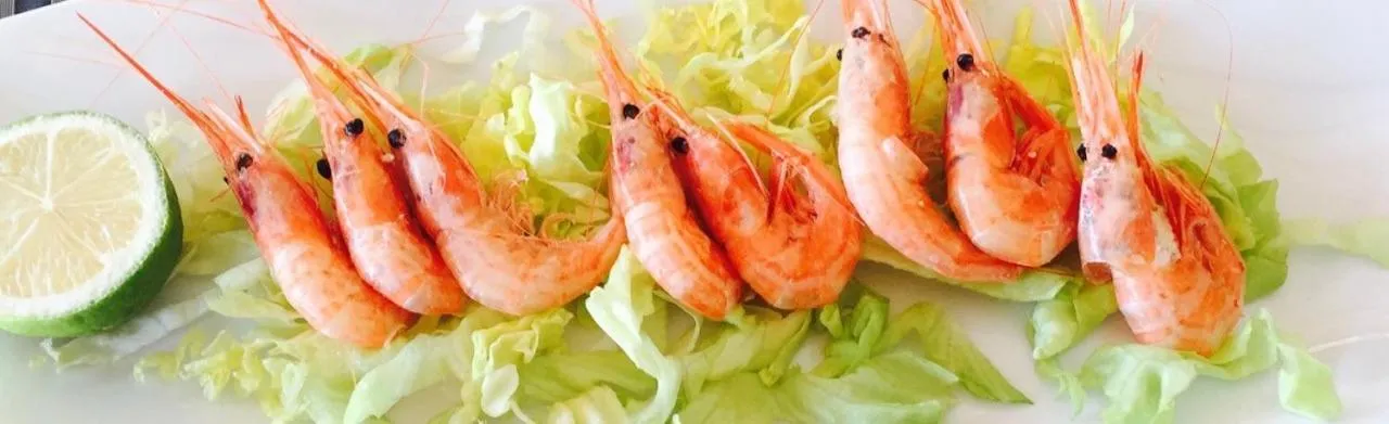 Food close-up in Hotel Playa Canet