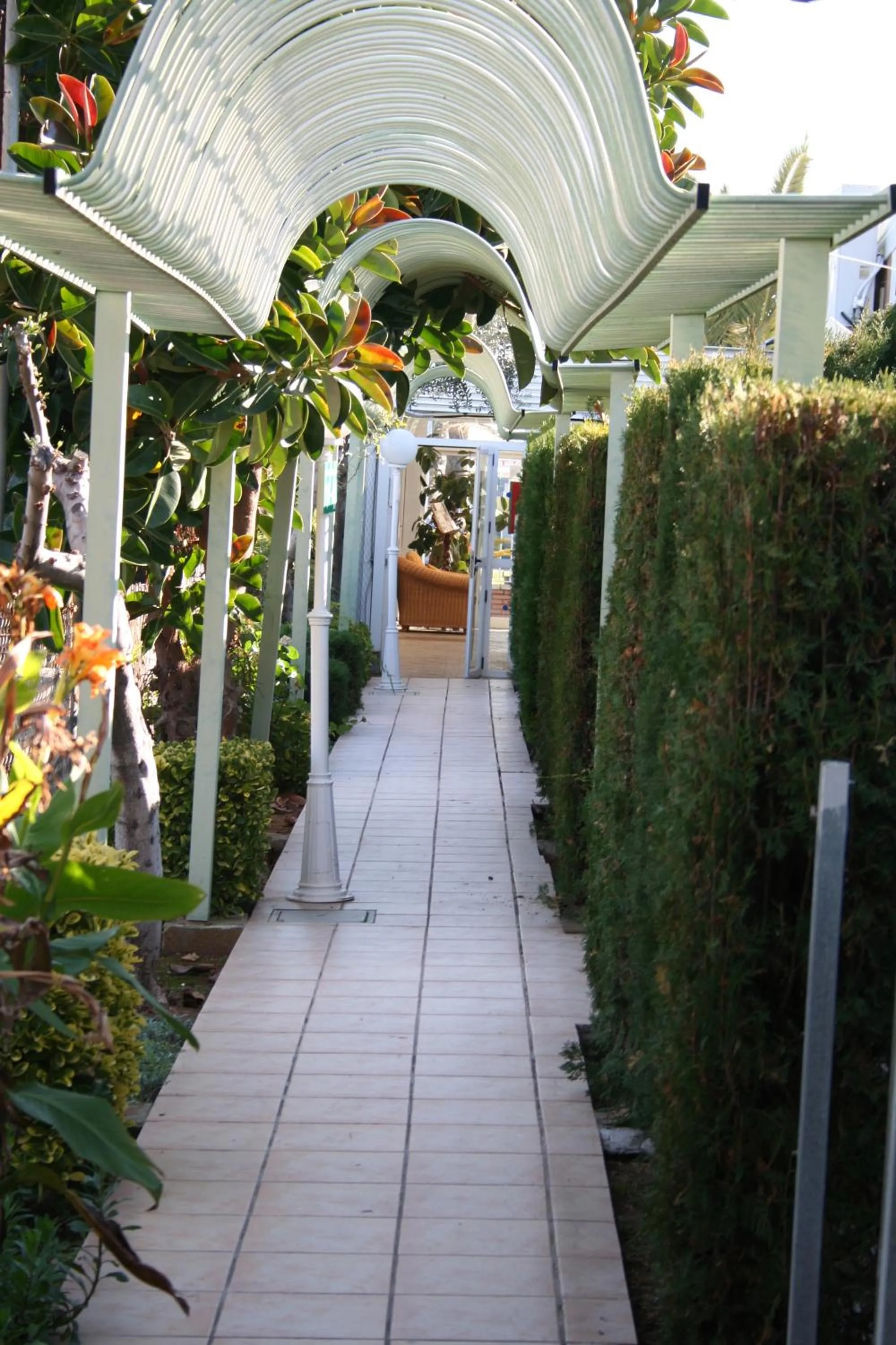 Pool view in Hotel Playa Canet
