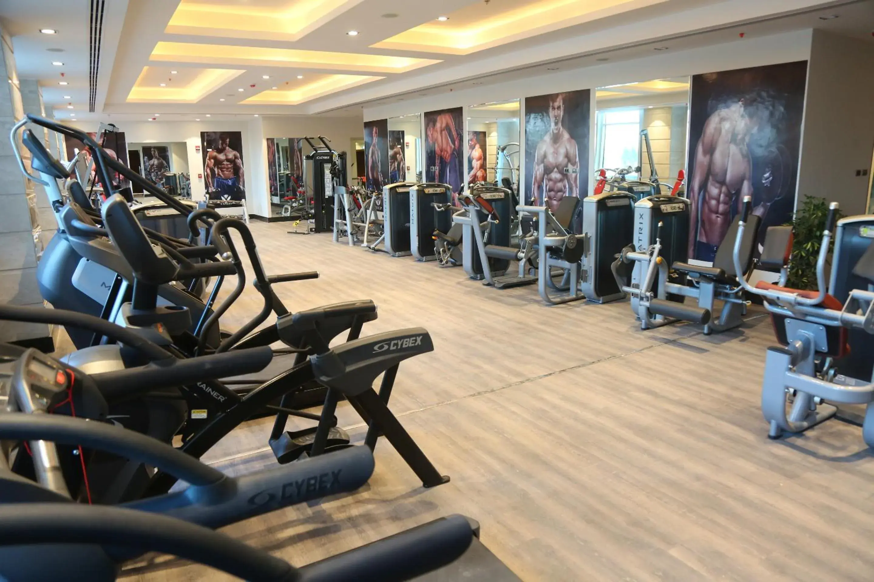 Fitness centre/facilities in Tolip Golden Plaza Fitness centre/facilities in Tolip Golden Plaza