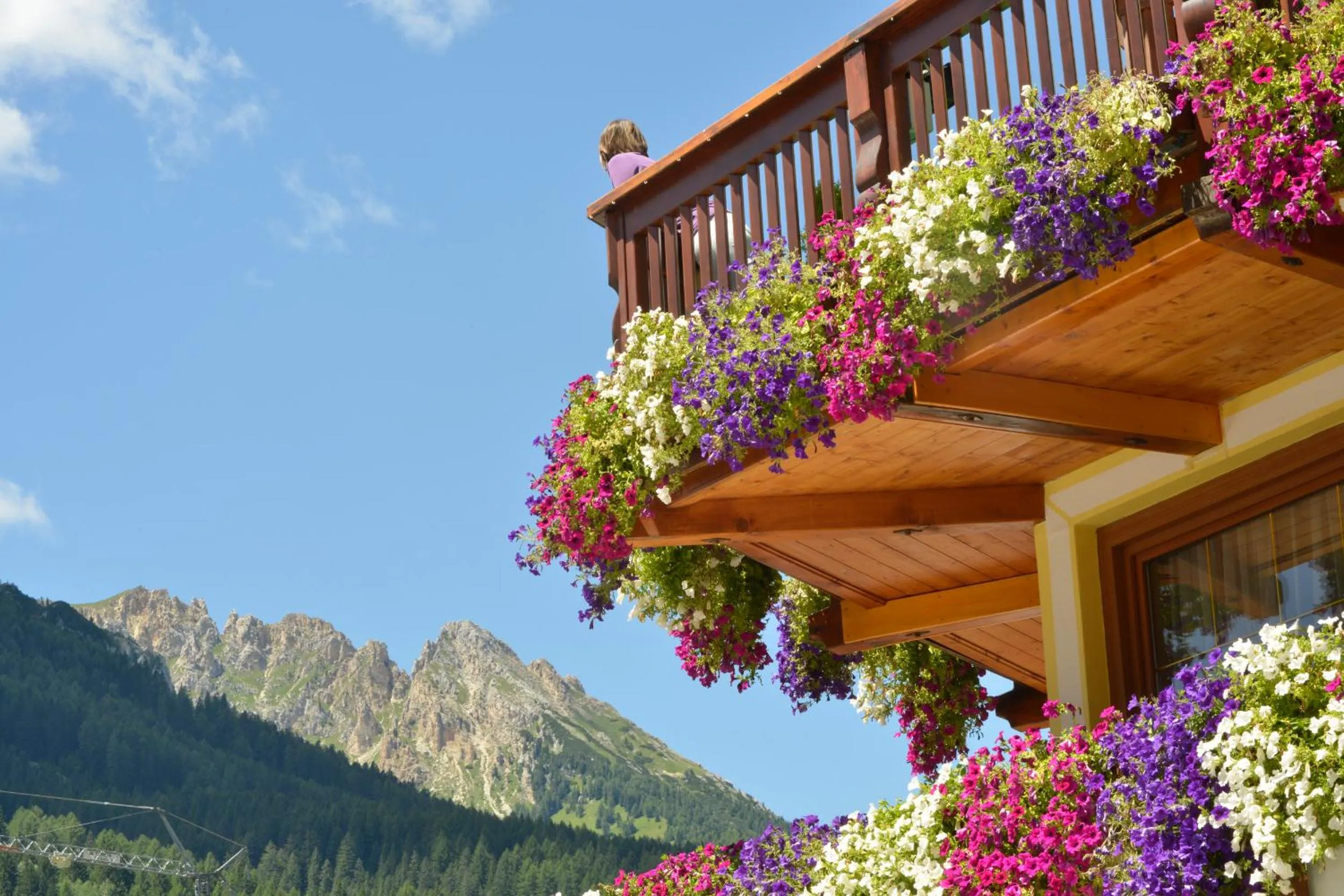 Balcony/Terrace in Hotel Alle Alpi