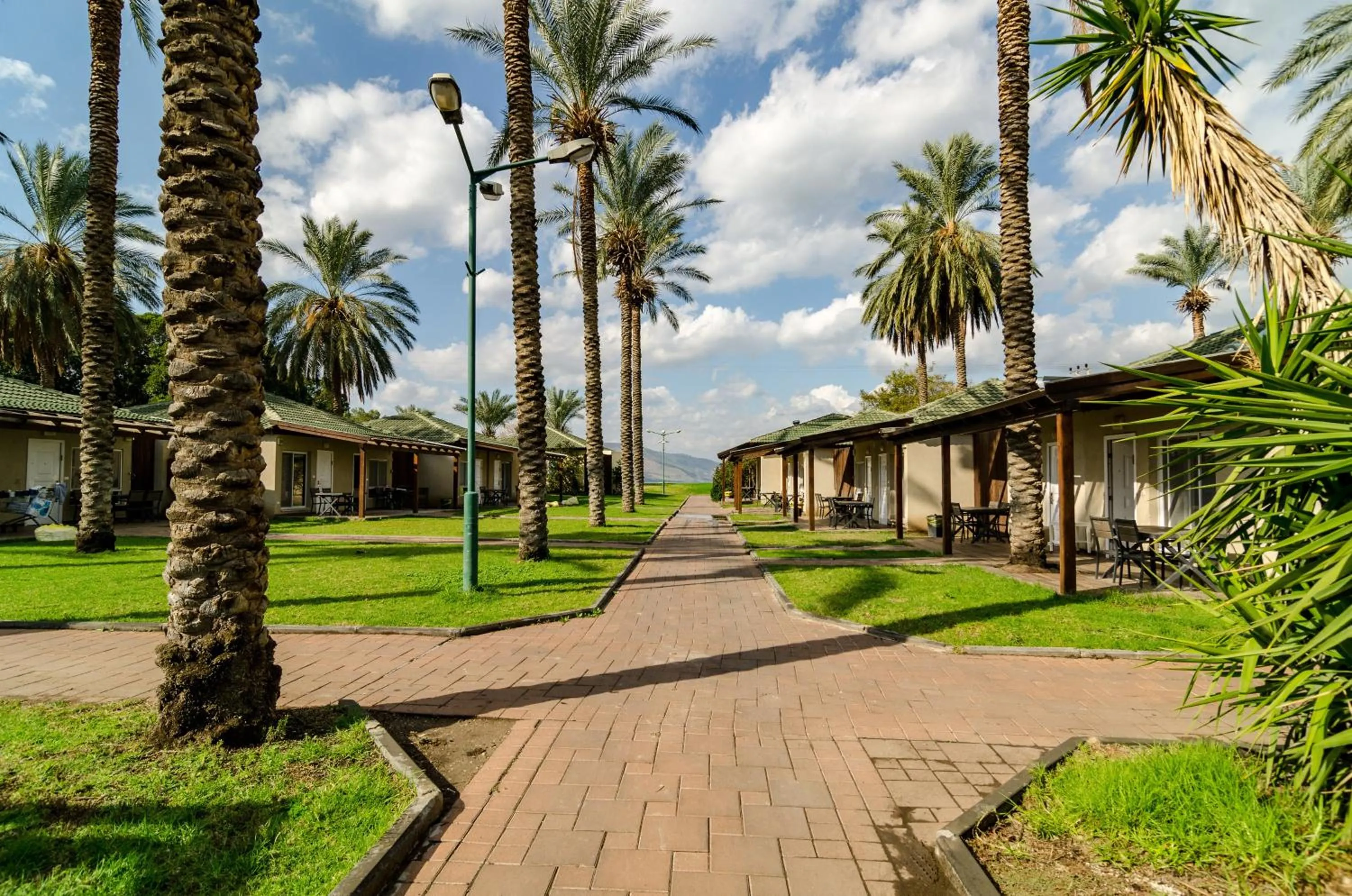 Garden in Daria- Authentic Israeli Experience