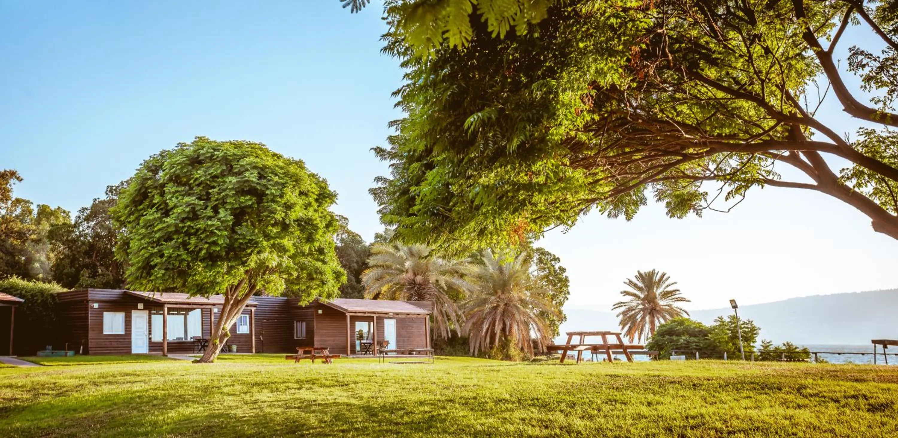 View (from property/room) in Daria- Authentic Israeli Experience