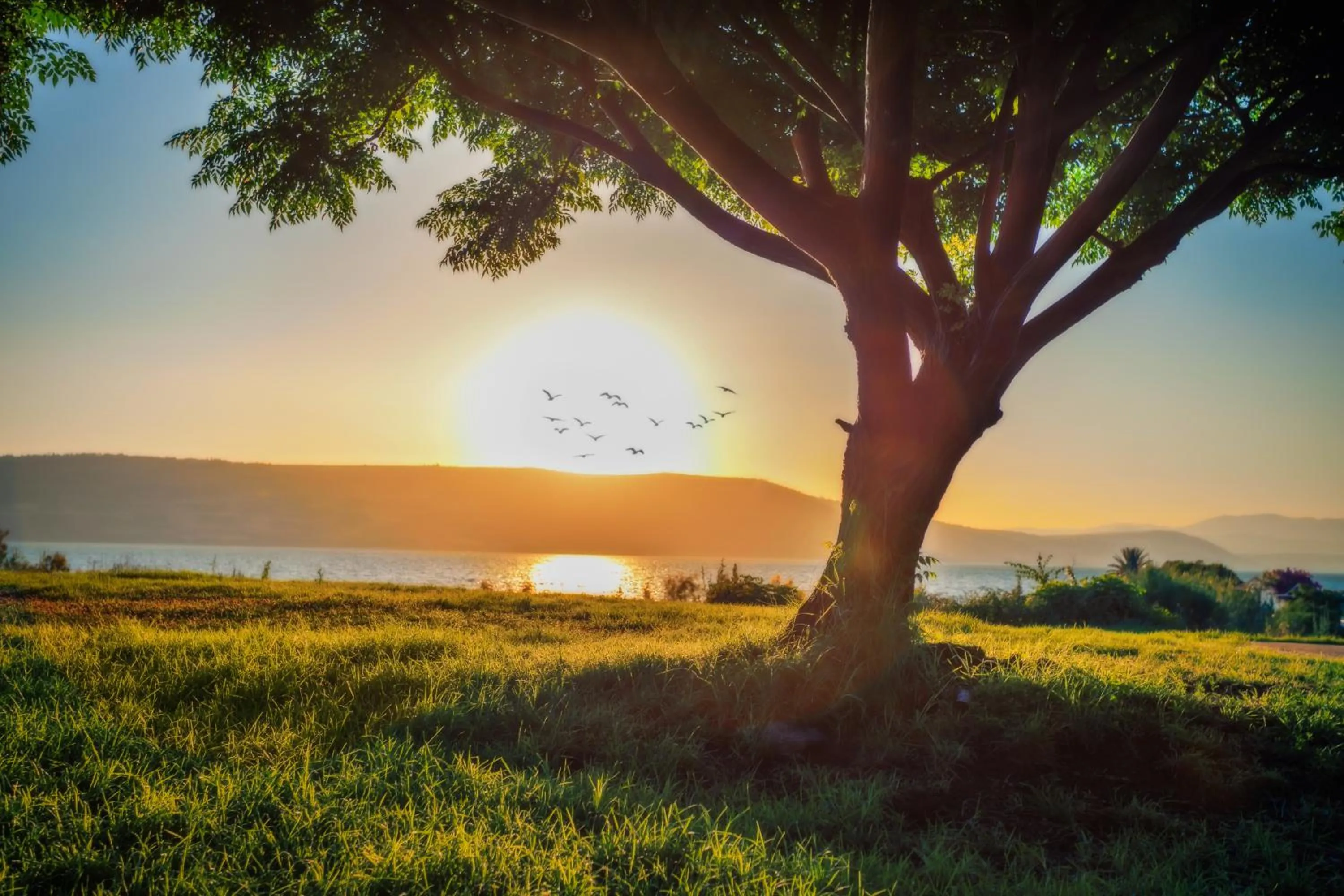 Natural landscape in Daria- Authentic Israeli Experience