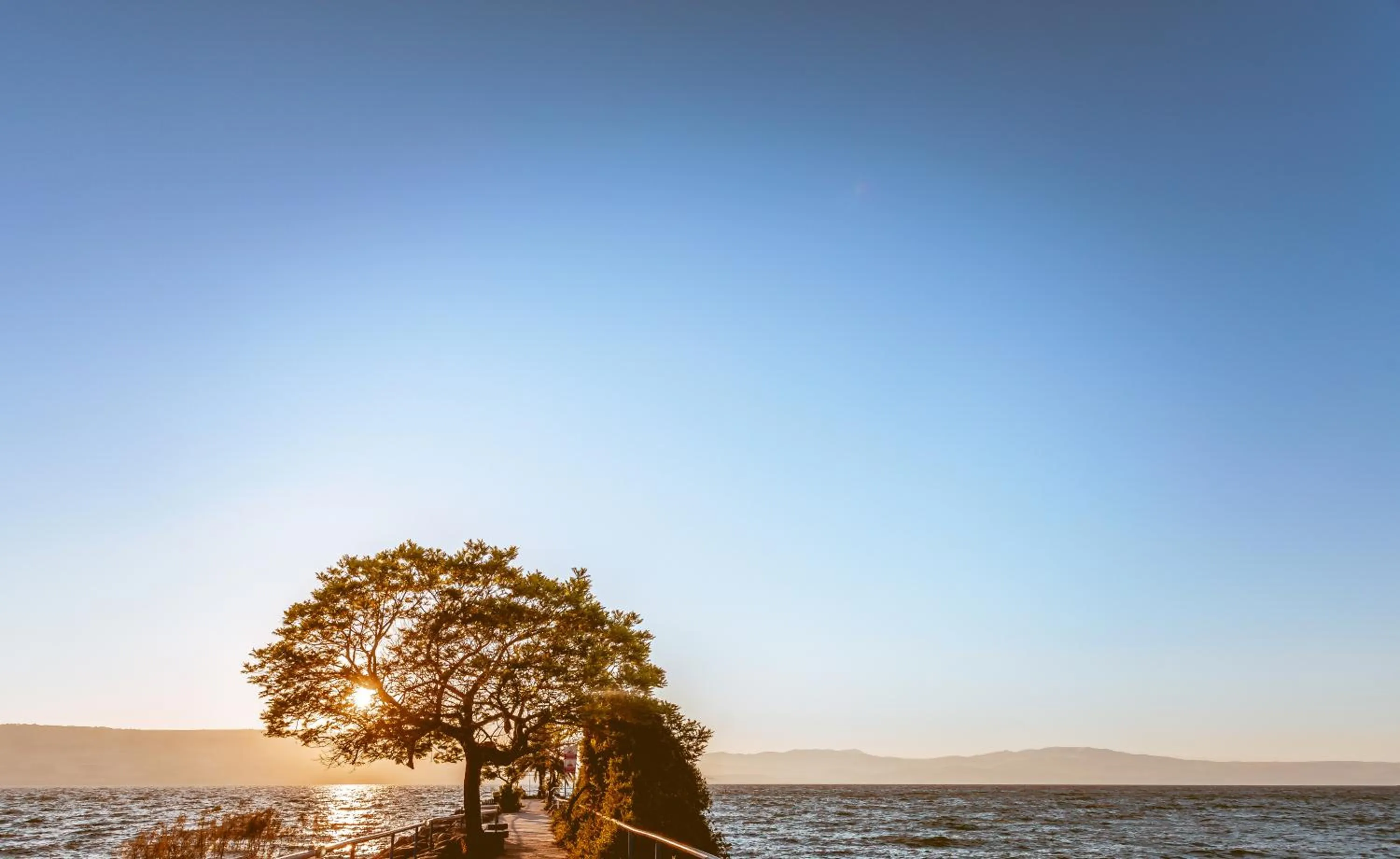 Beach in Daria- Authentic Israeli Experience