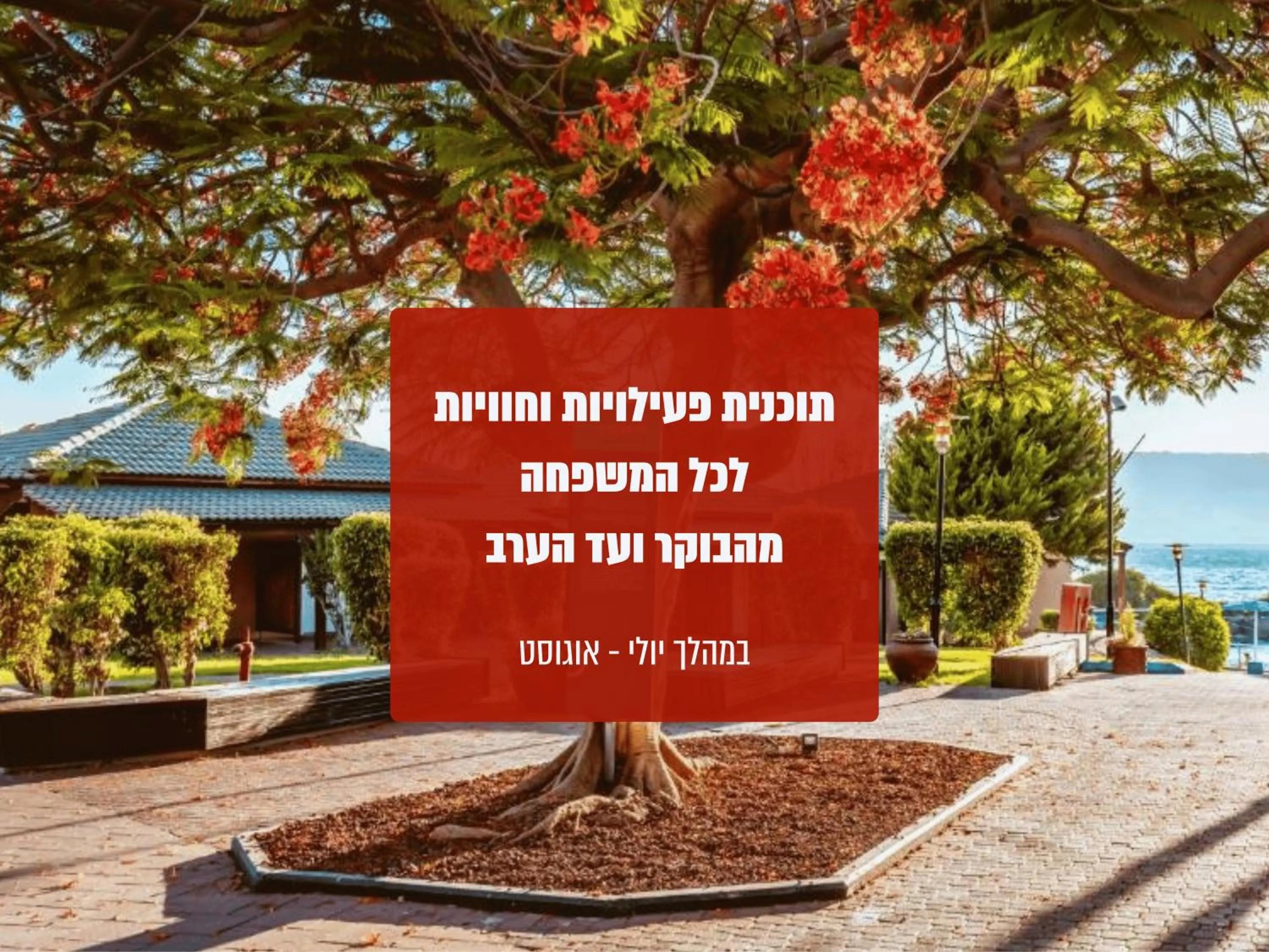 Activities in Daria- Authentic Israeli Experience