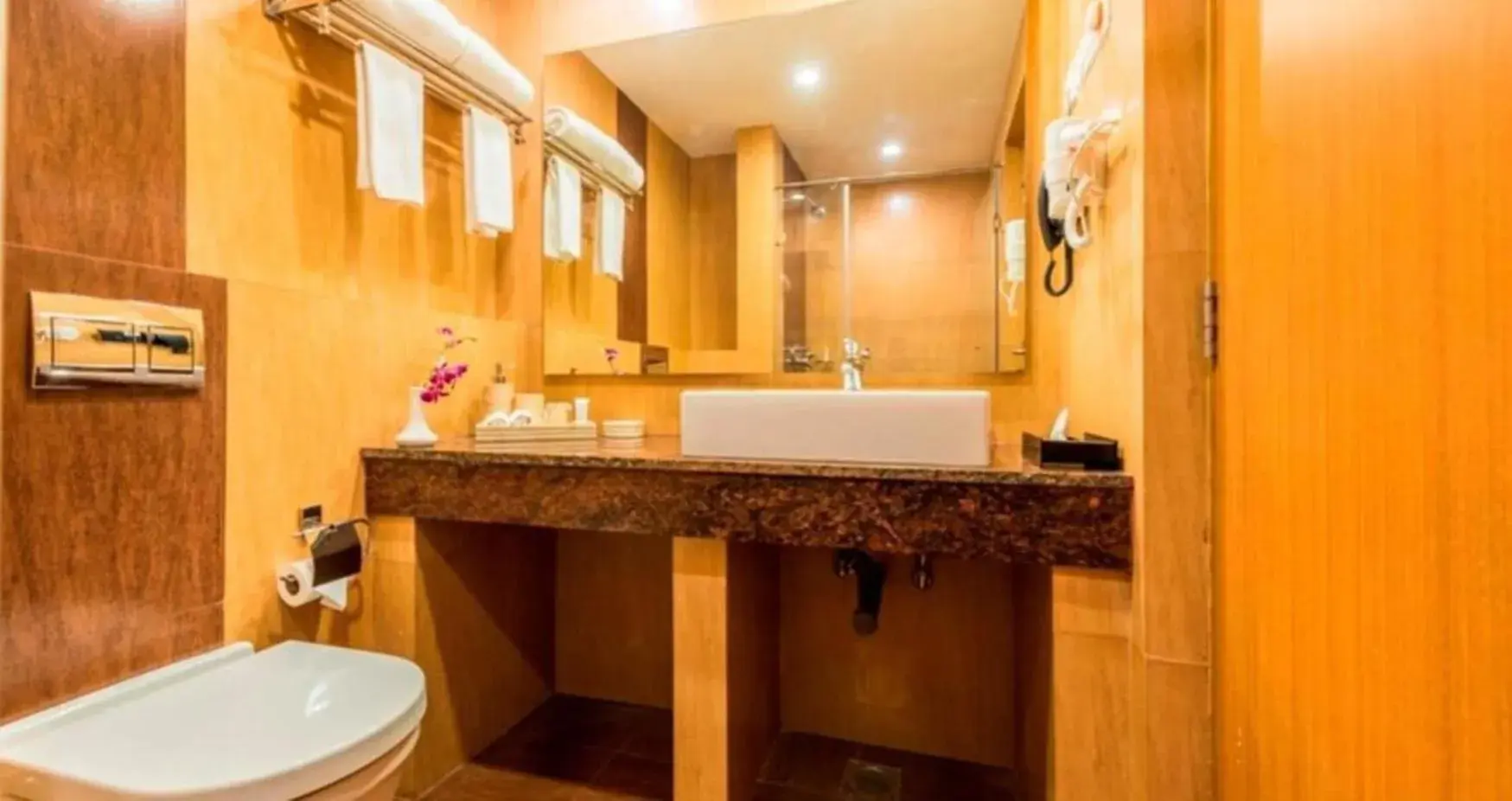 Bathroom in Regenta Central Herald Mysore Bathroom in Regenta Central Herald Mysore