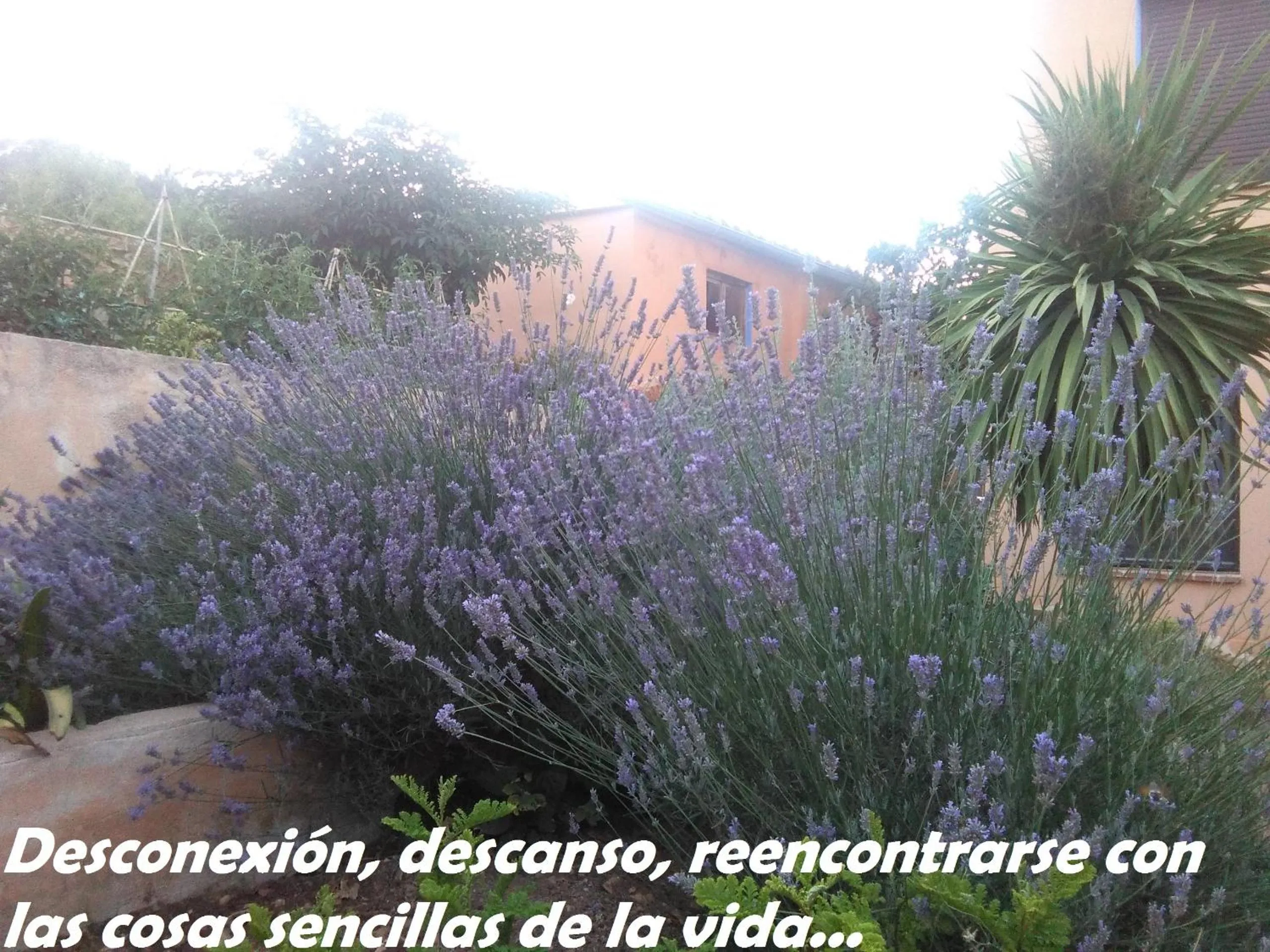 Garden in Pou De Beca Allotjaments i agroturisme