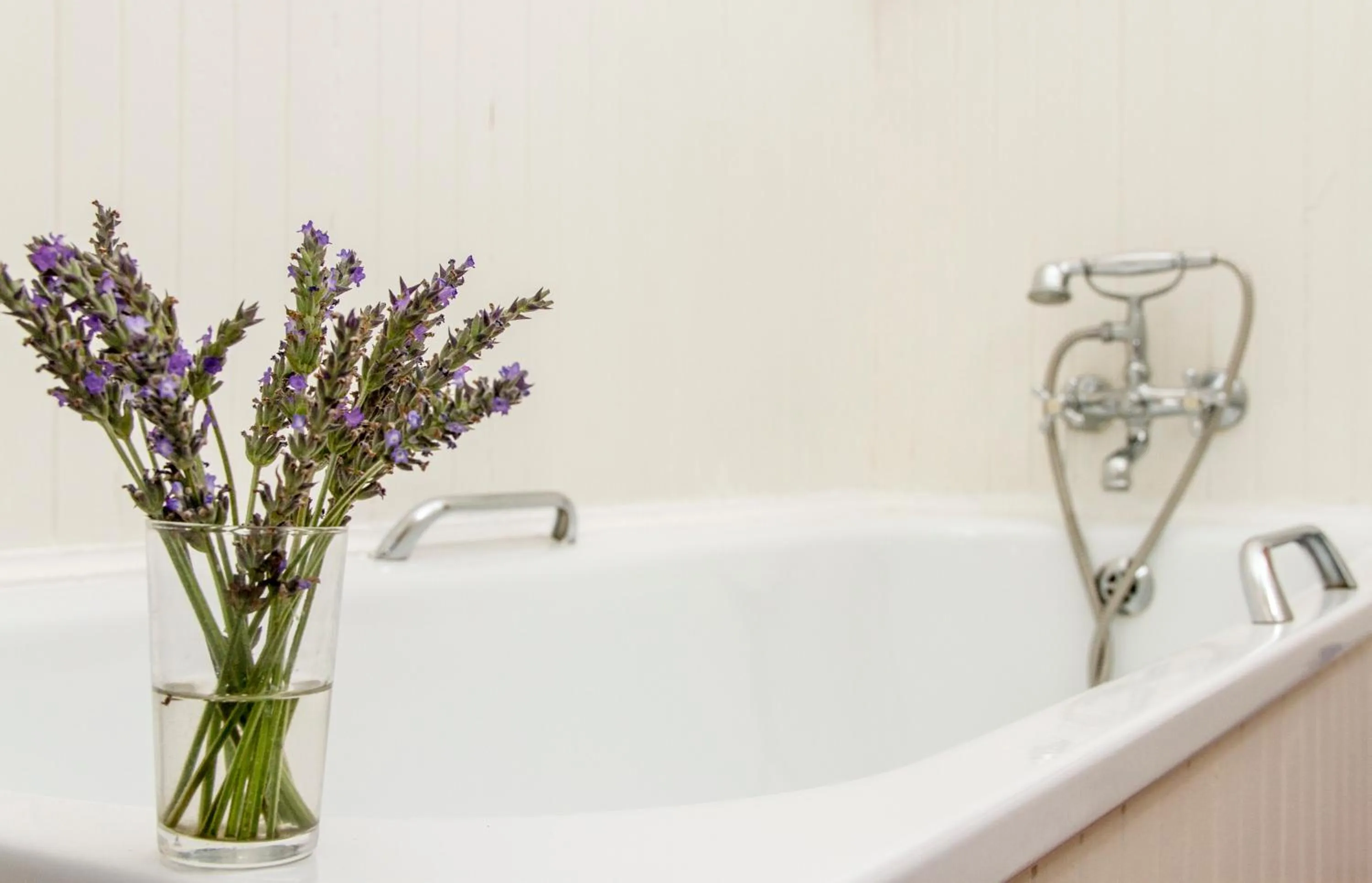 Bathroom in Albatross Guest House