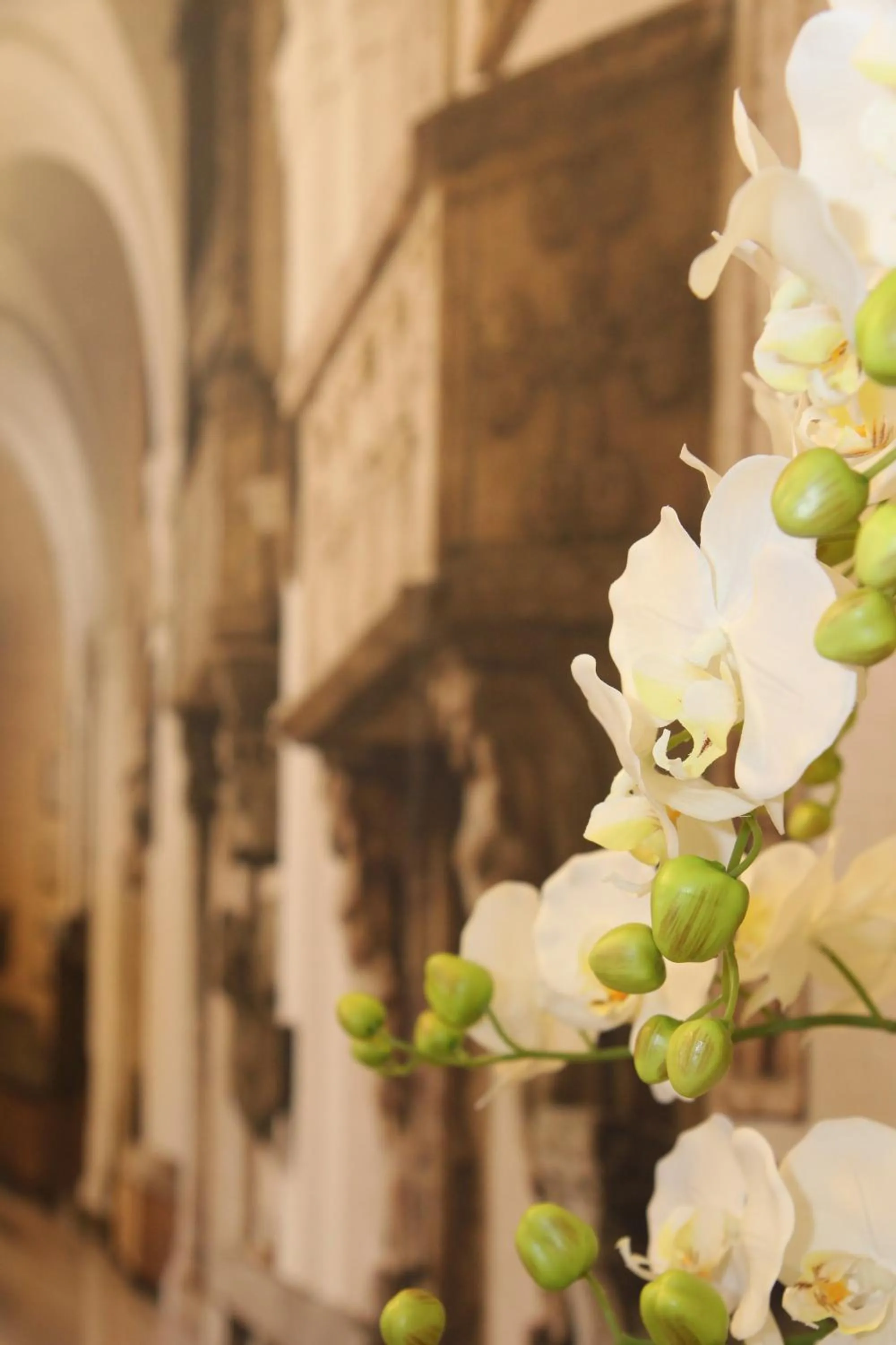 Lobby or reception in Suites & Apartments Liola'