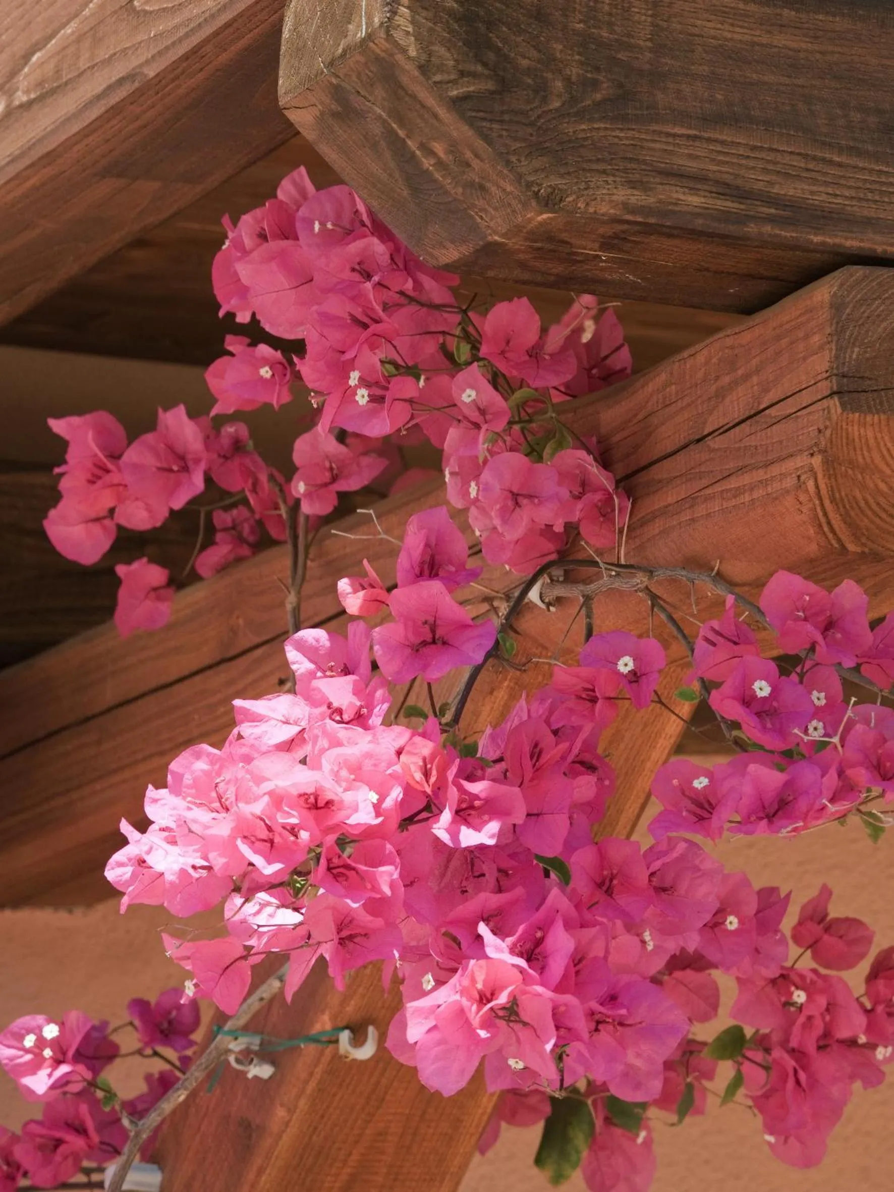 Balcony/Terrace in Villaggio Turchese
