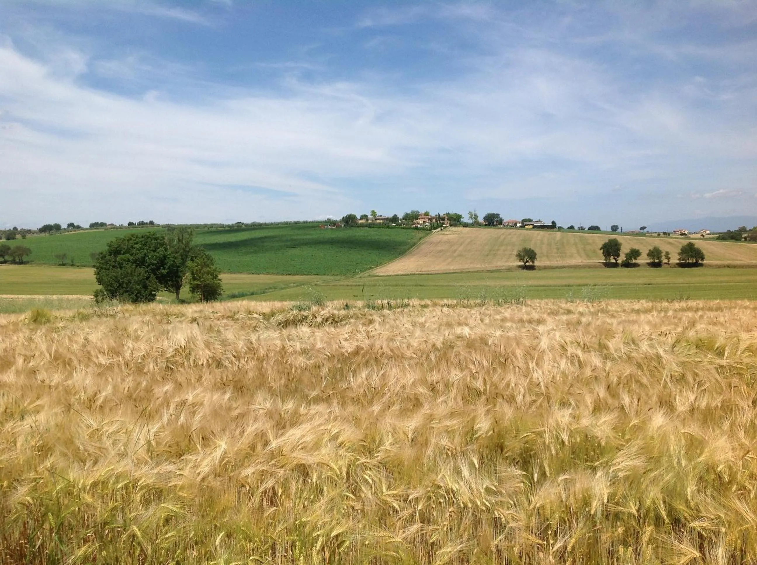 Other in Fattoria Le Giare Agriturismo