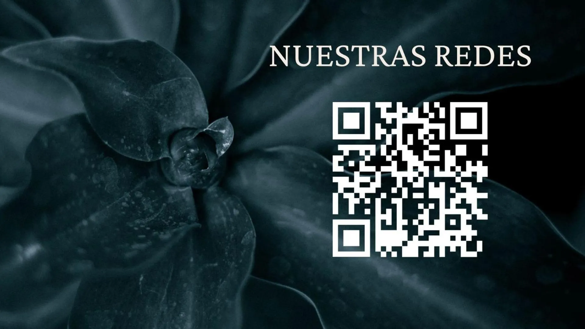 Property building in La perla de oasis