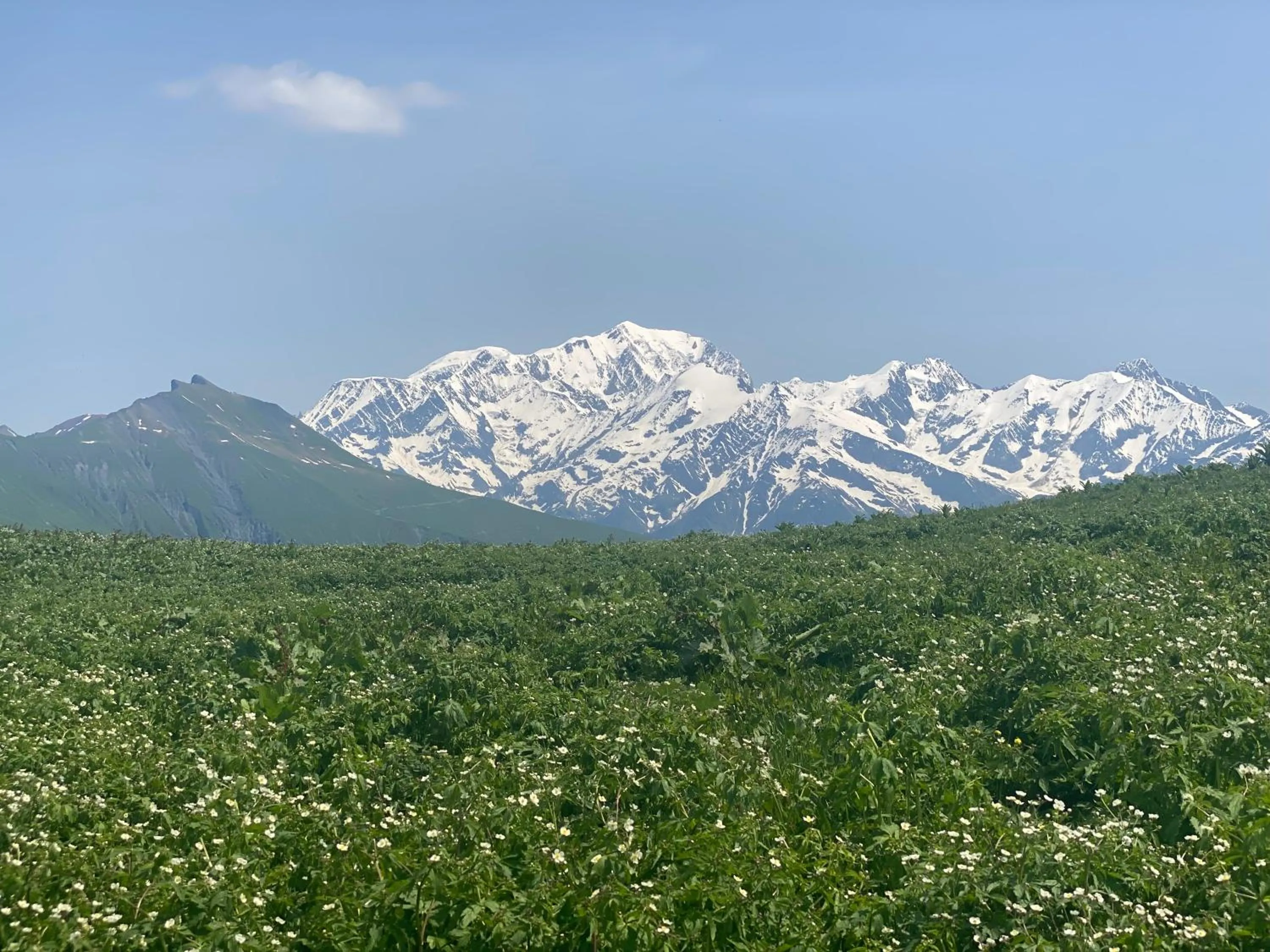 Chez Laurette et Louis